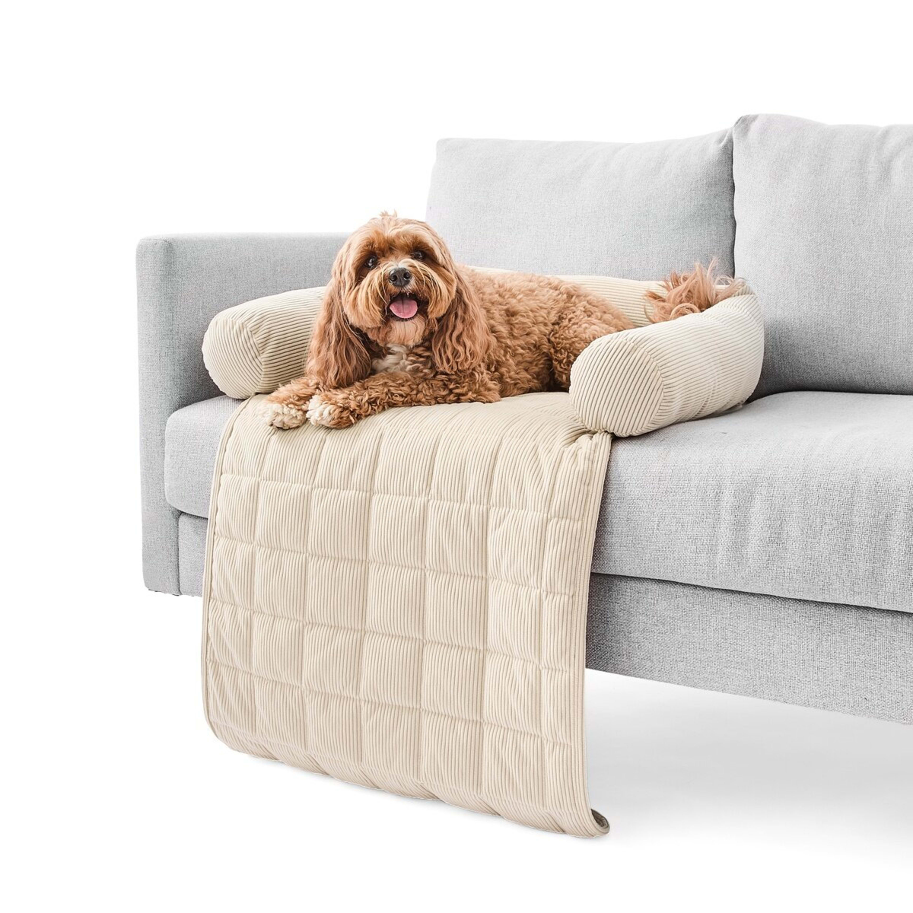 1 Pet Corduroy Couch Topper - Single Bed, Brown