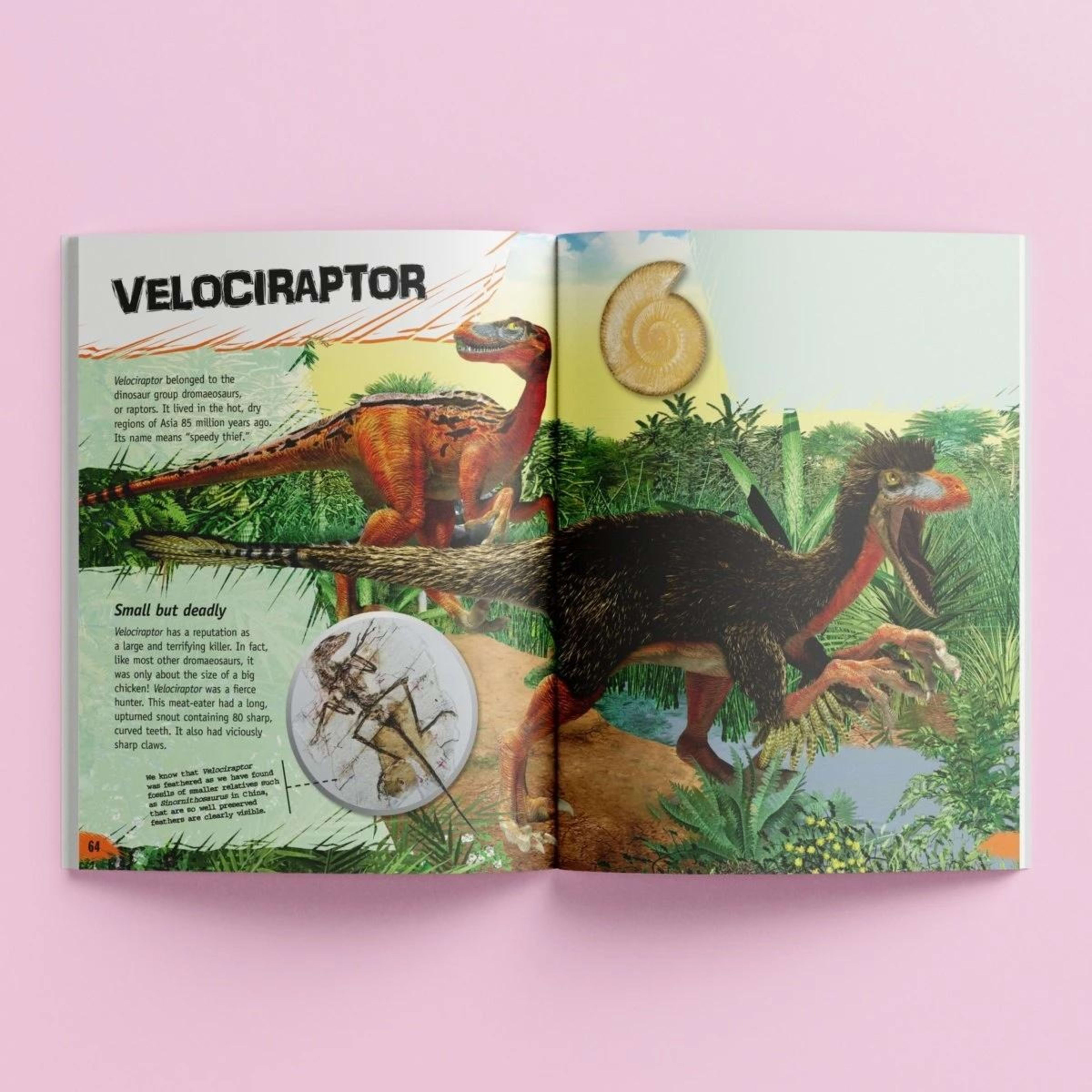 3 Incredible But True: Dinosaurs - Book, 3 of 4