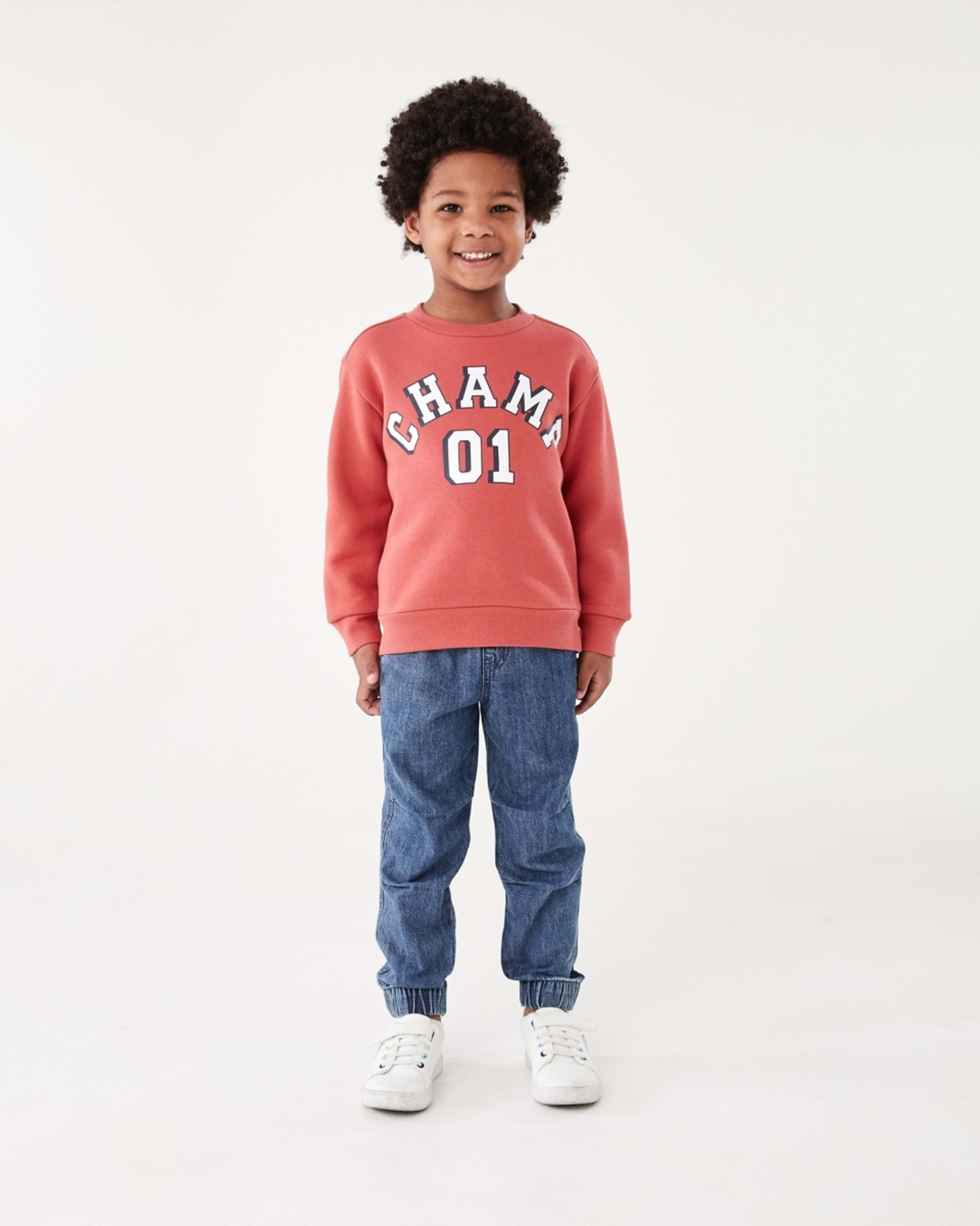 5 Print Crew Neck Sweatshirt Red Varsit, 5 of 8