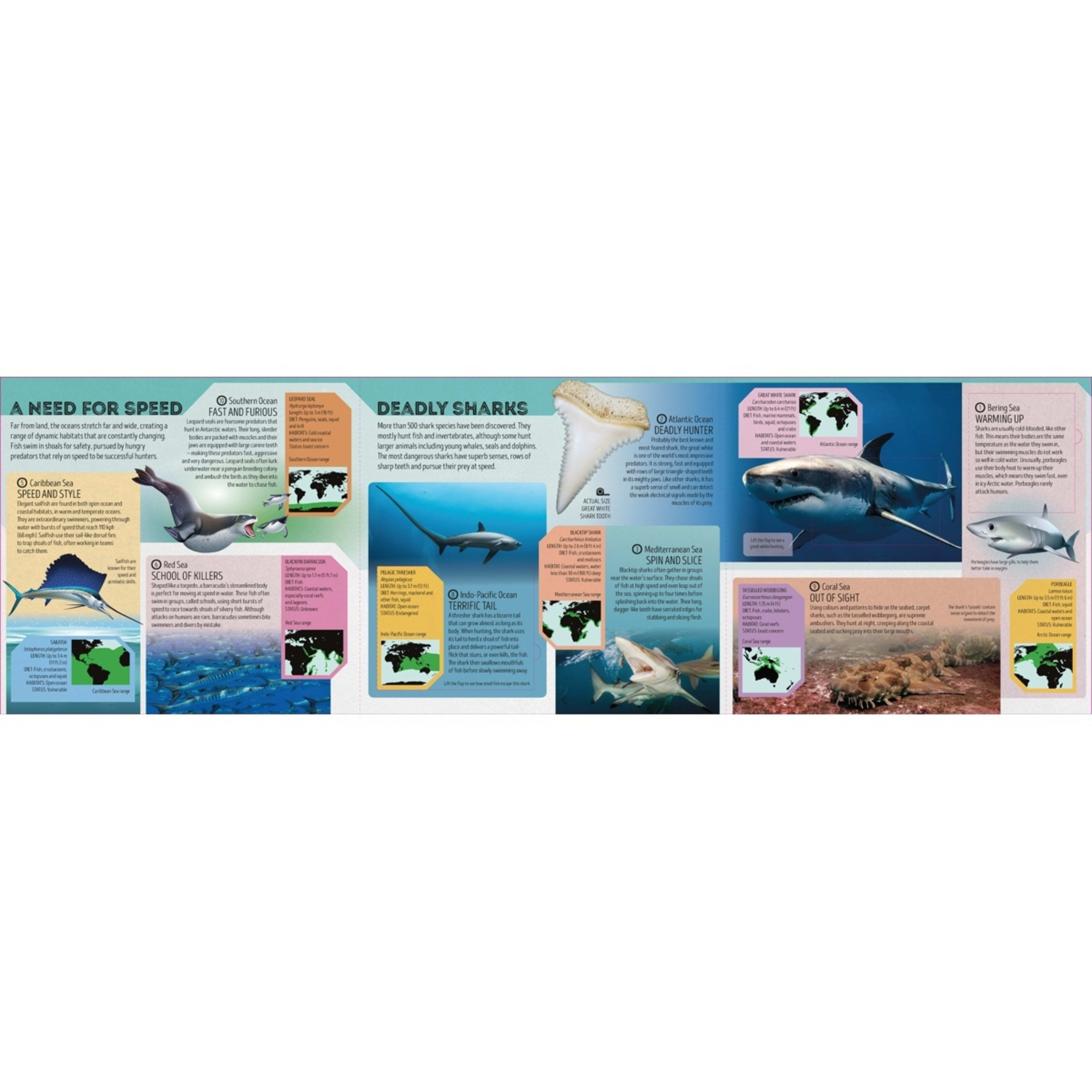 3 Lonely Planet Kids Deadly Animal Atlas by Camilla de la Bedoyere - Book, 3 of 5