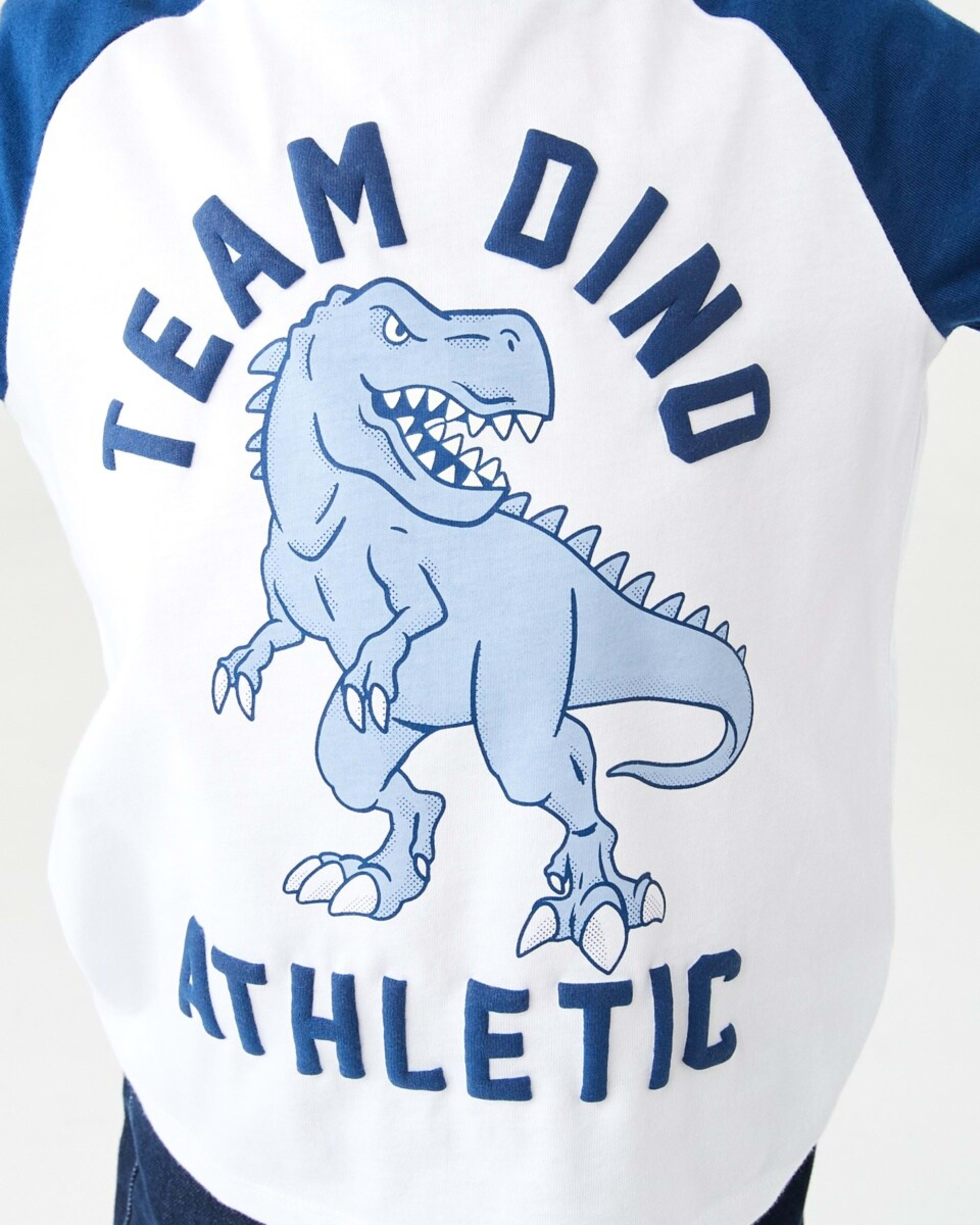 5 Printed Raglan Long Sleeve T-shirt Team Dino Puff White, 5 of 9