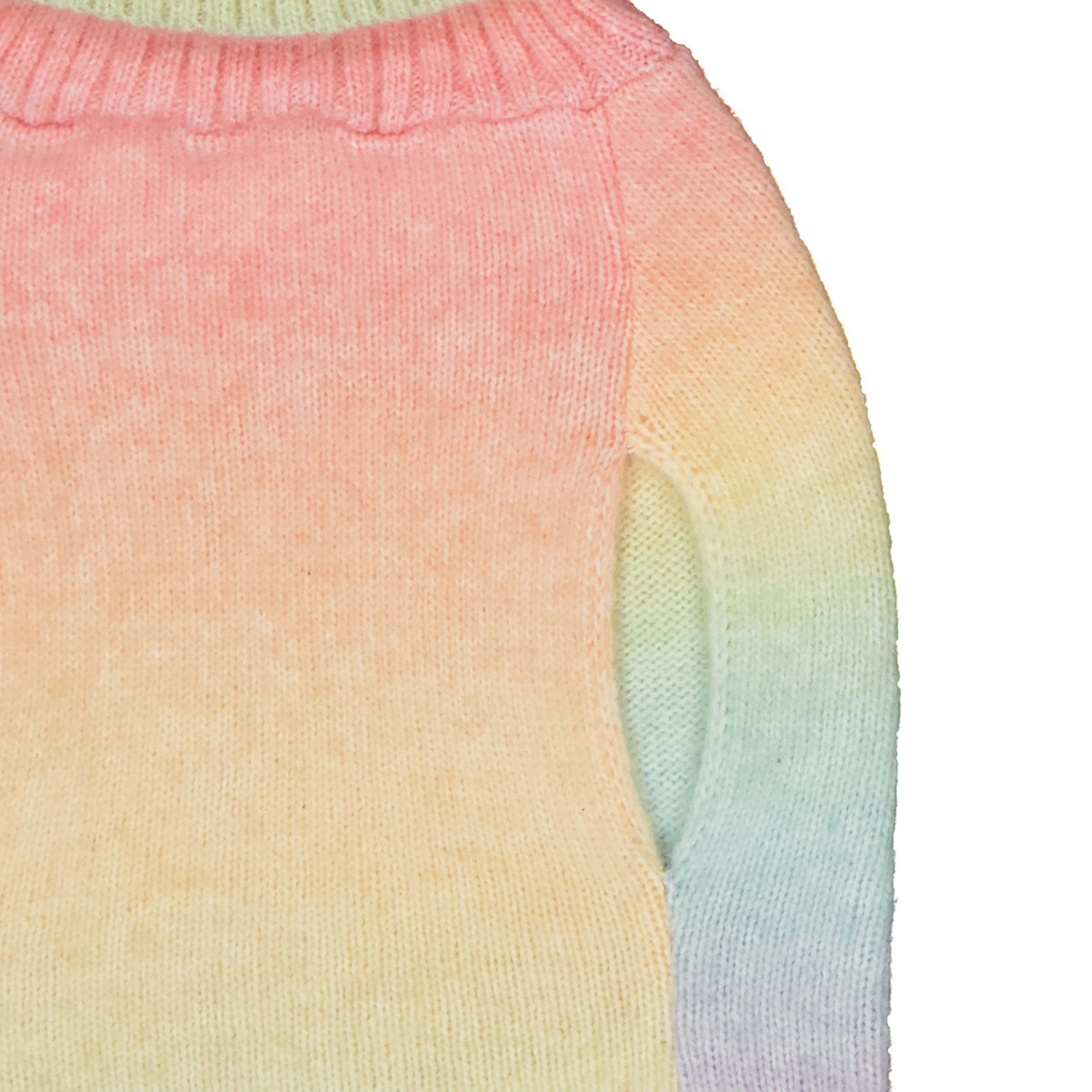 Pet Rainbow Ombre Jumper Large Kmart