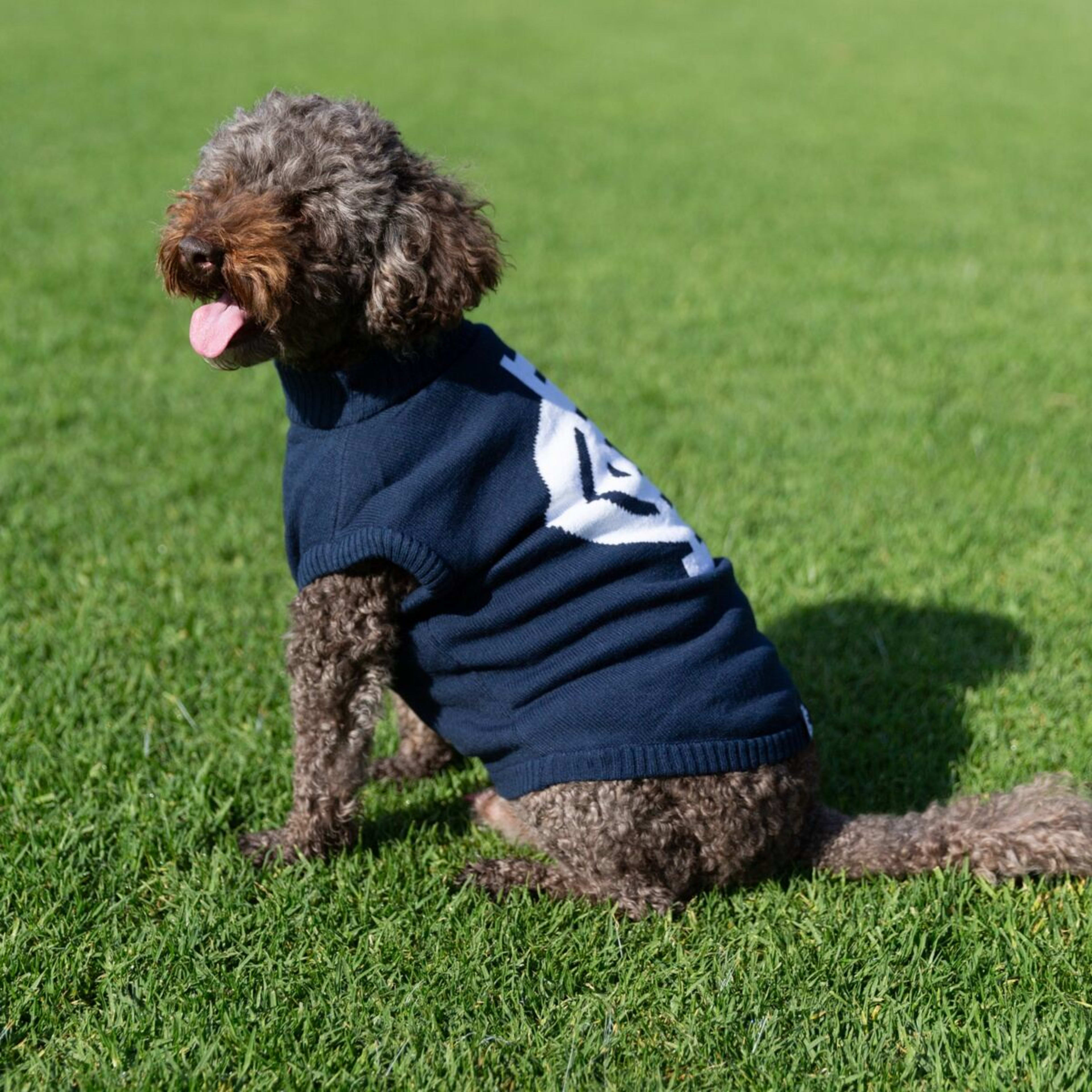1 AFL Carlton Blues Pet Jumper - Medium