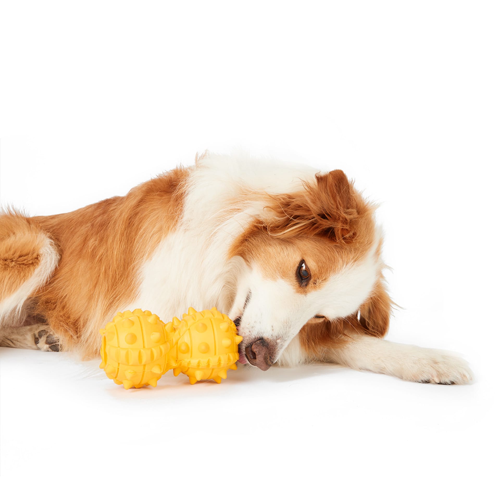 Pet Toy Chew Peanut Treater Kmart