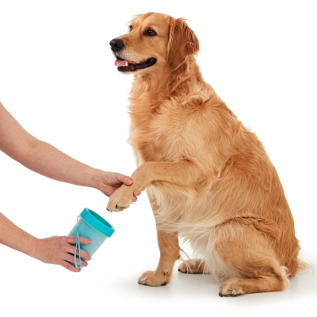 Dog Paw Cleaner Kmart