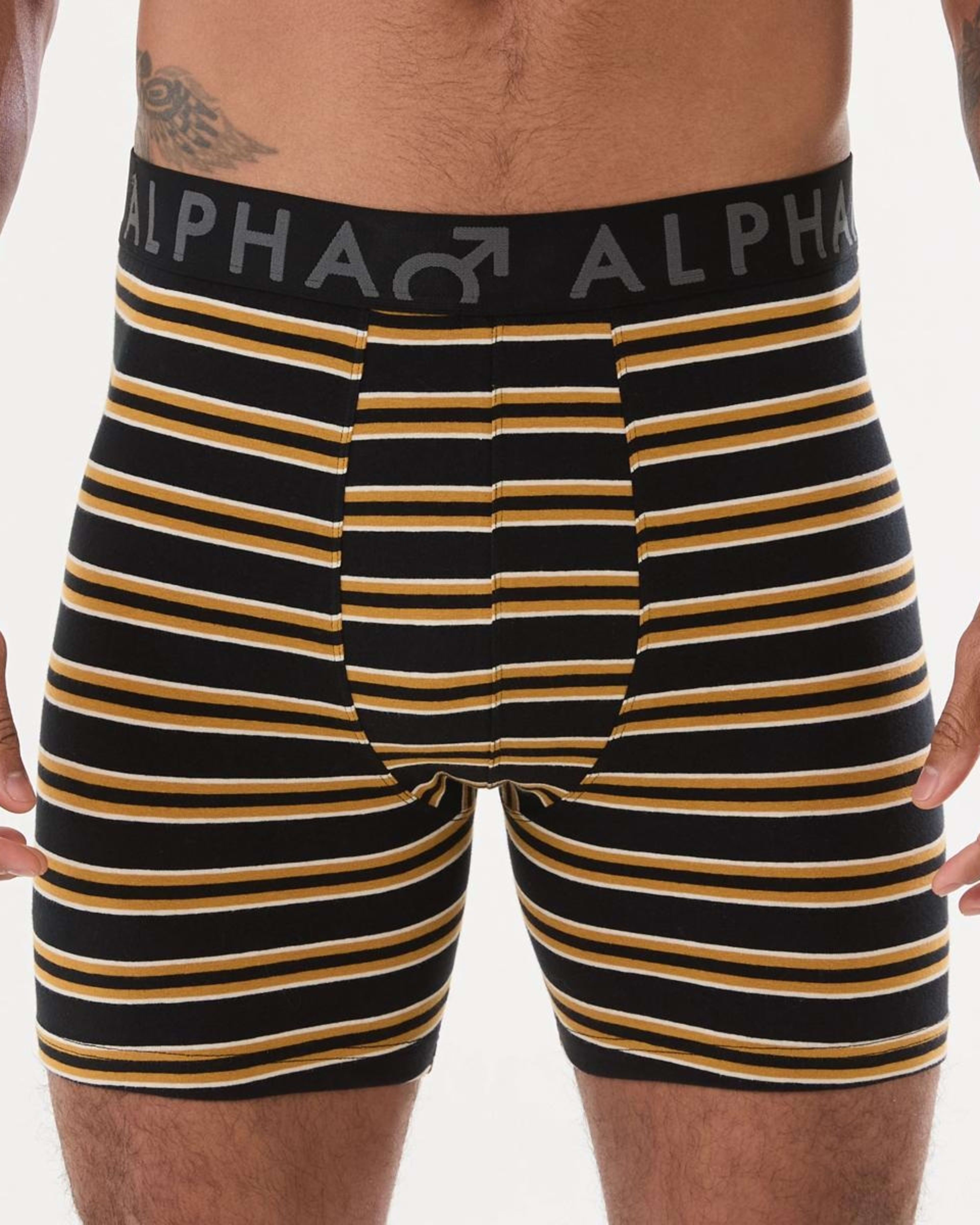 3 3 Pack Mid Length Stripe Trunks CRUISE STRIPE, 3 of 9