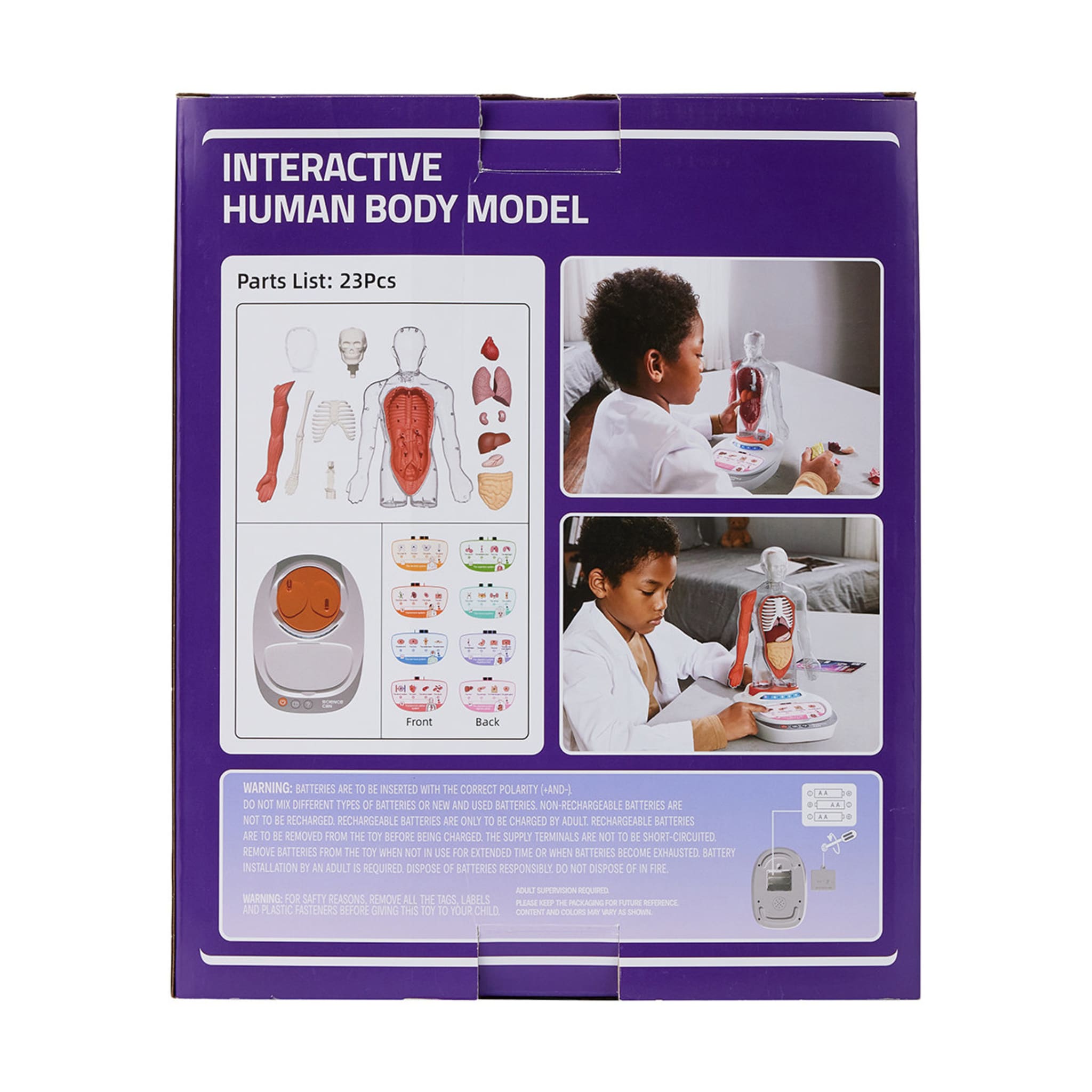 Interactive Human Body Model Kmart NZ