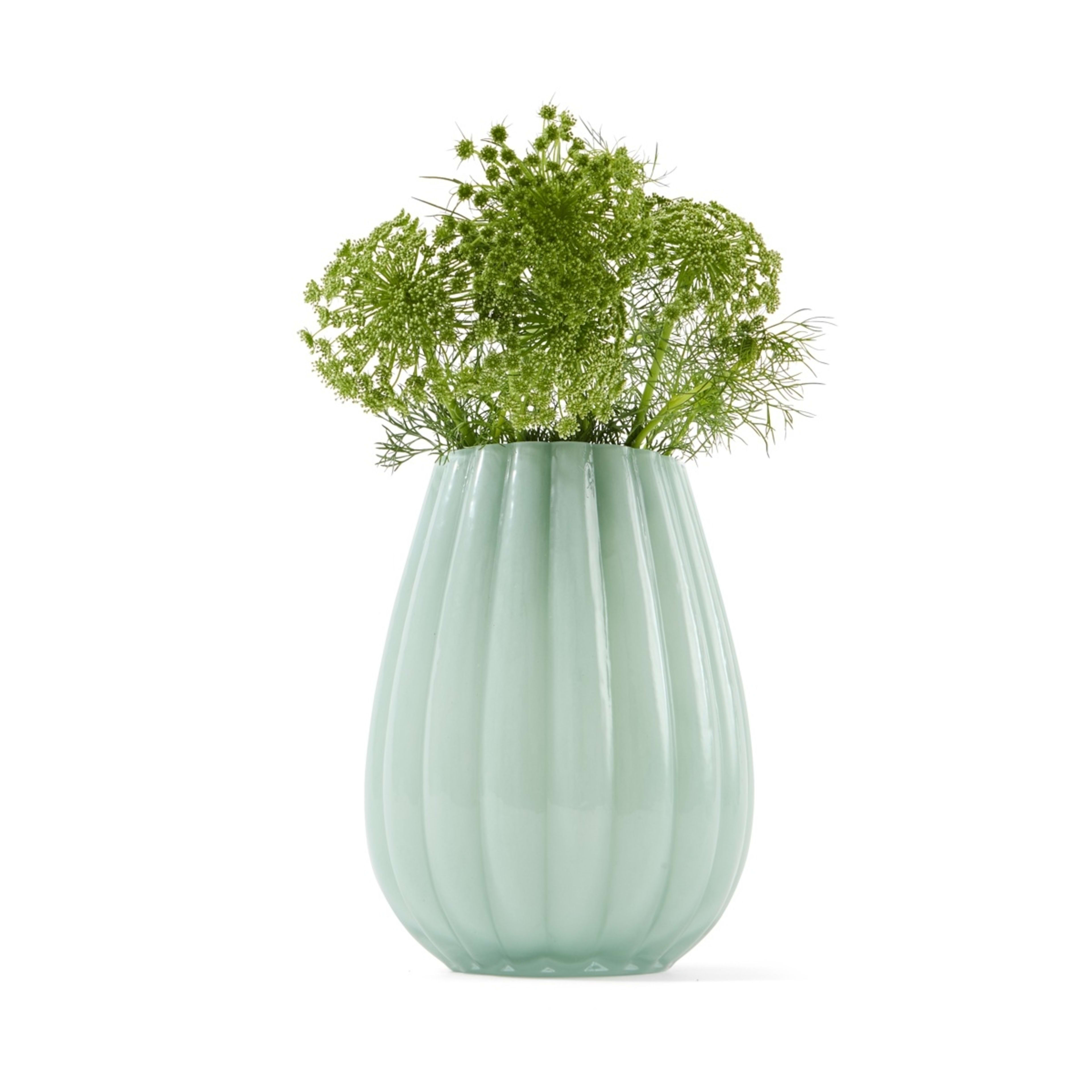 1 Tulip Glass Vase