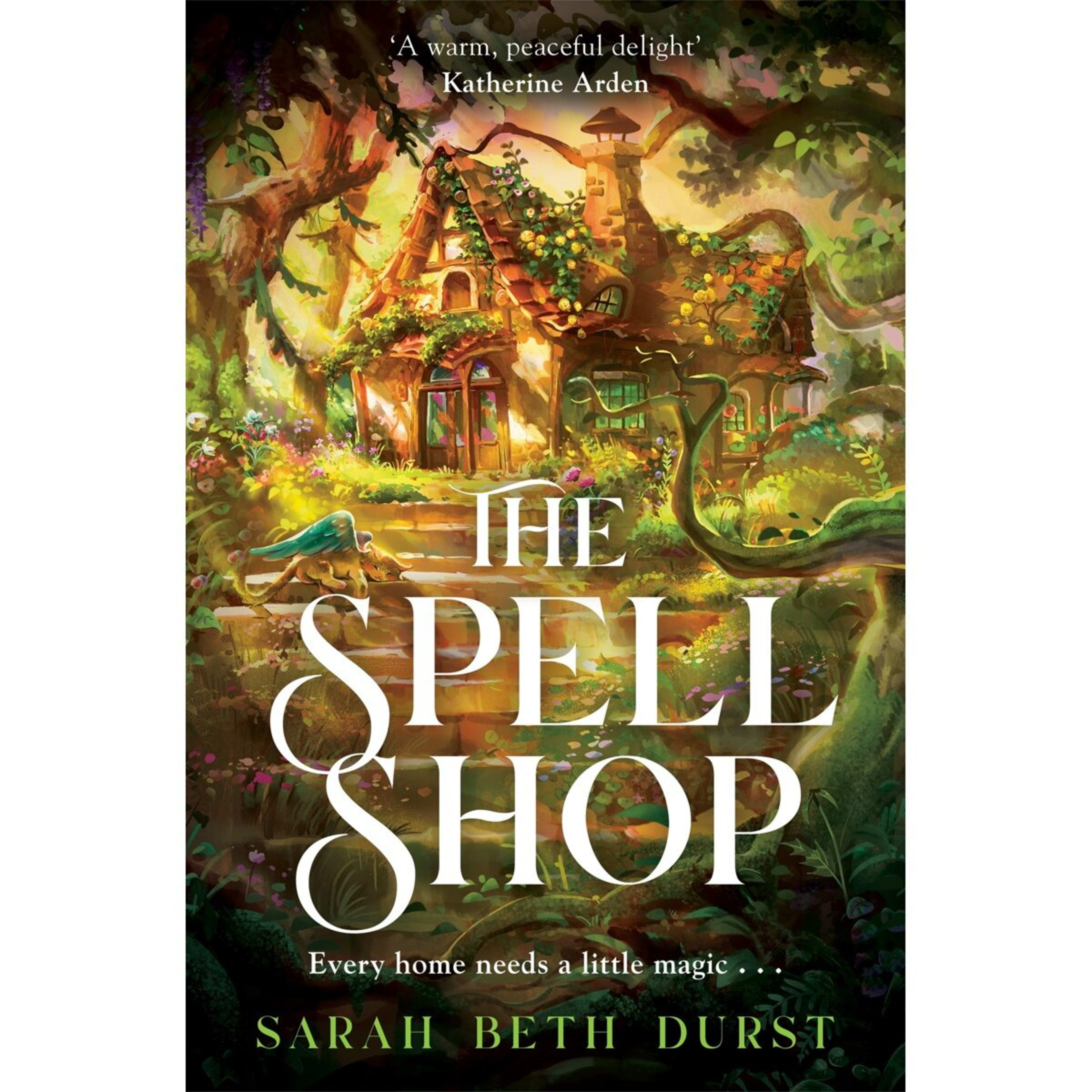 1 The Spellshop by Sarah Beth Durst - Book