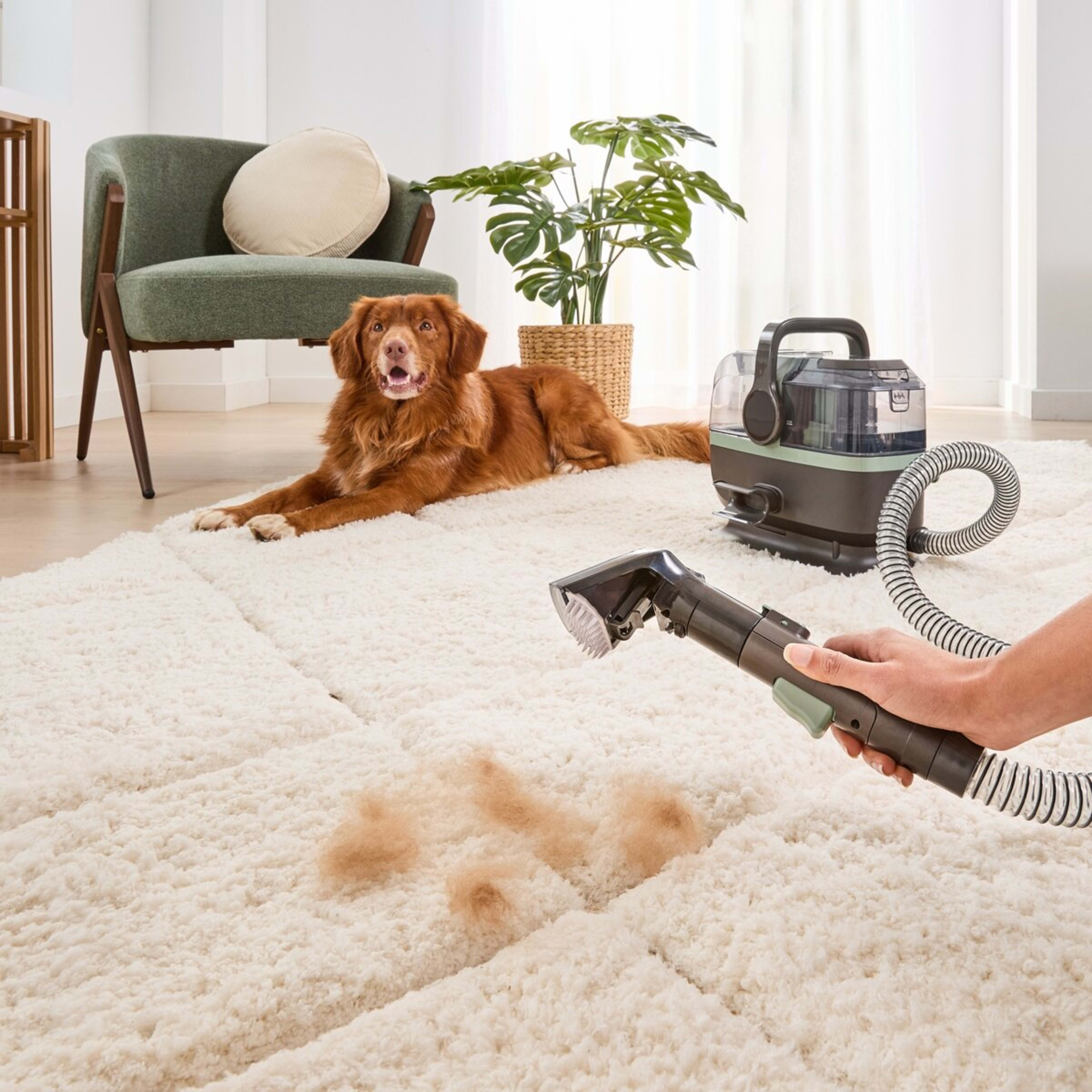 1 Compact Spot Cleaner