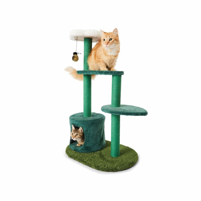 Cat Tower Flower - Kmart
