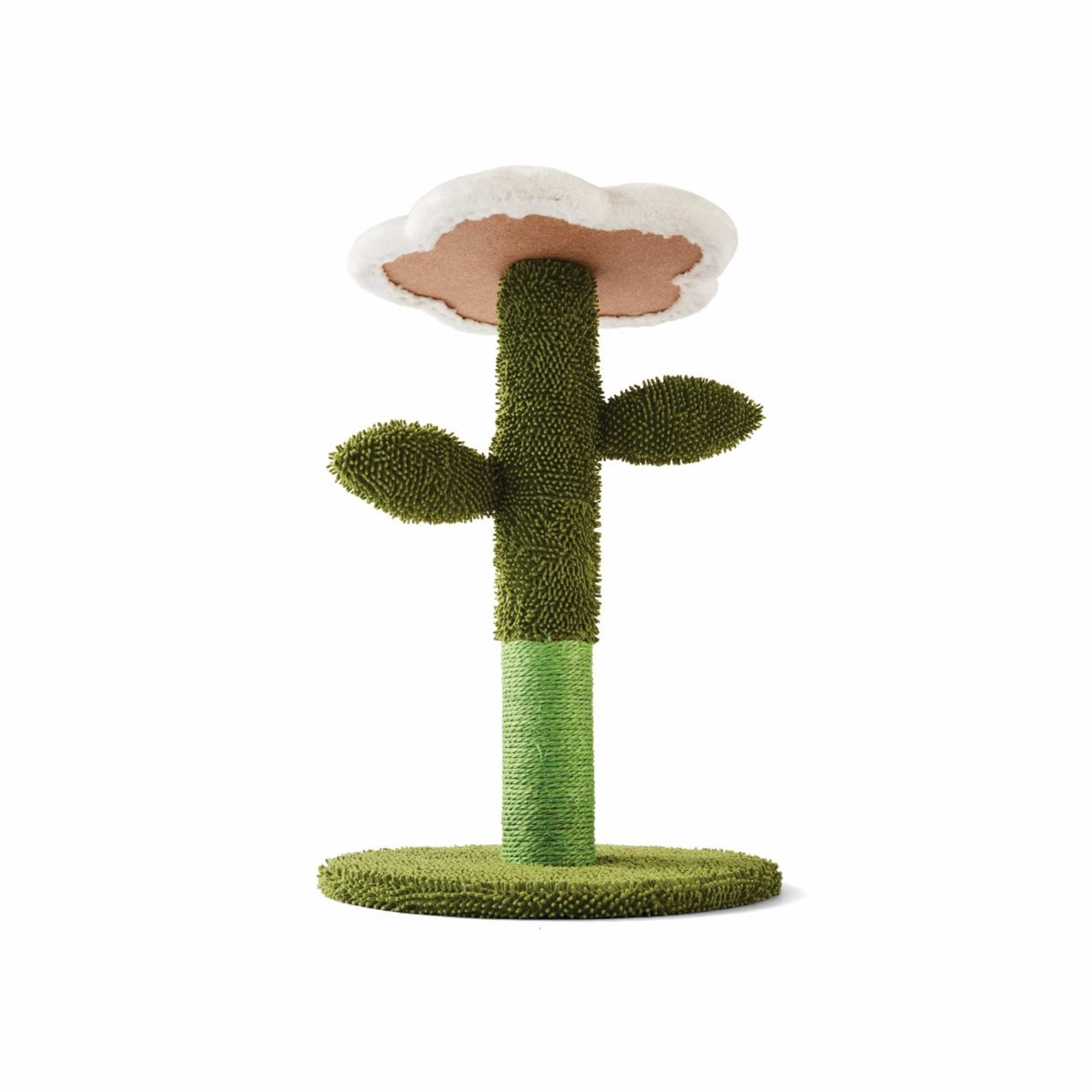 Cat Scratcher Flower Kmart