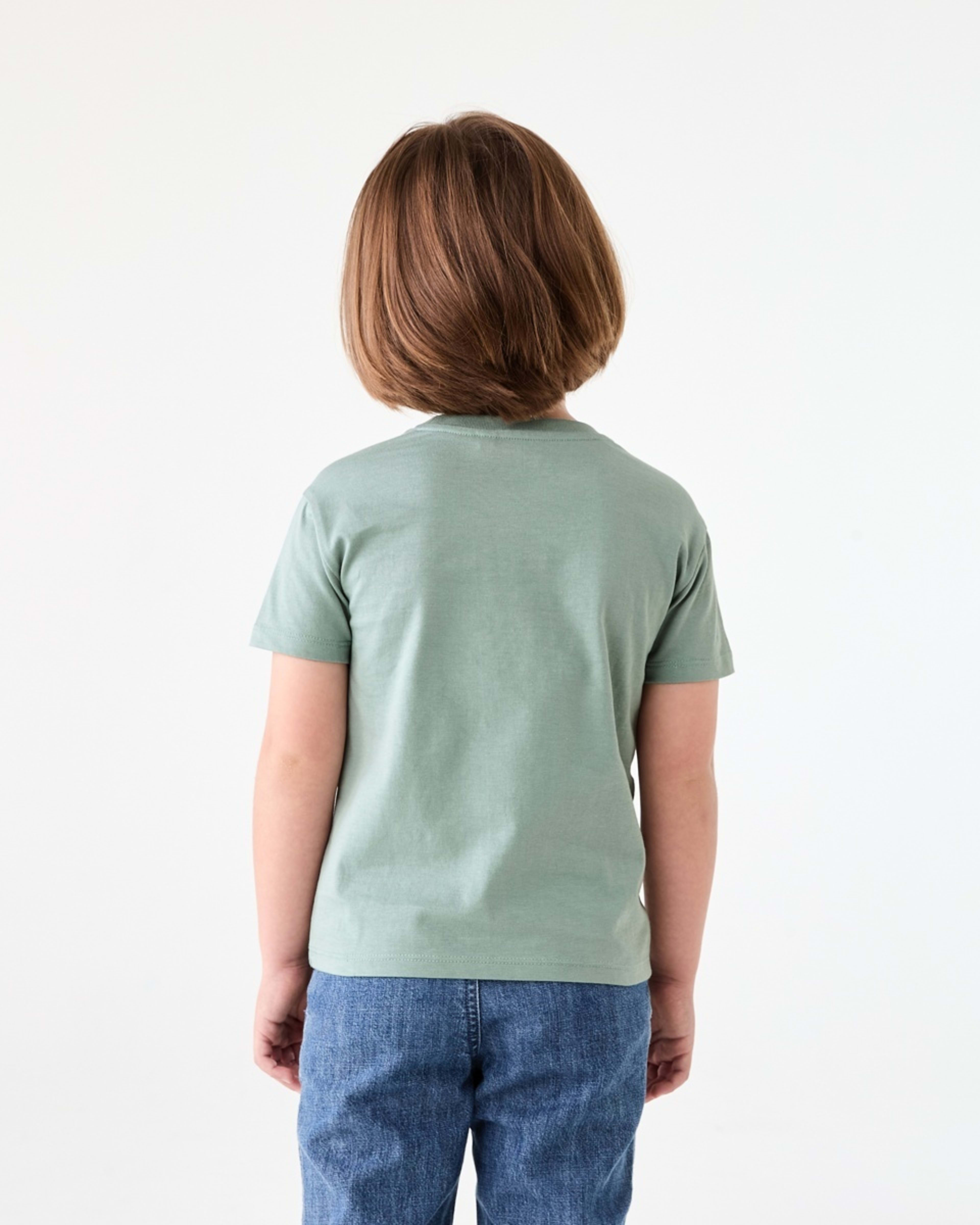 2 Chest Print T-shirt DINOTOPIA CHINOIS GREEN, 2 of 6