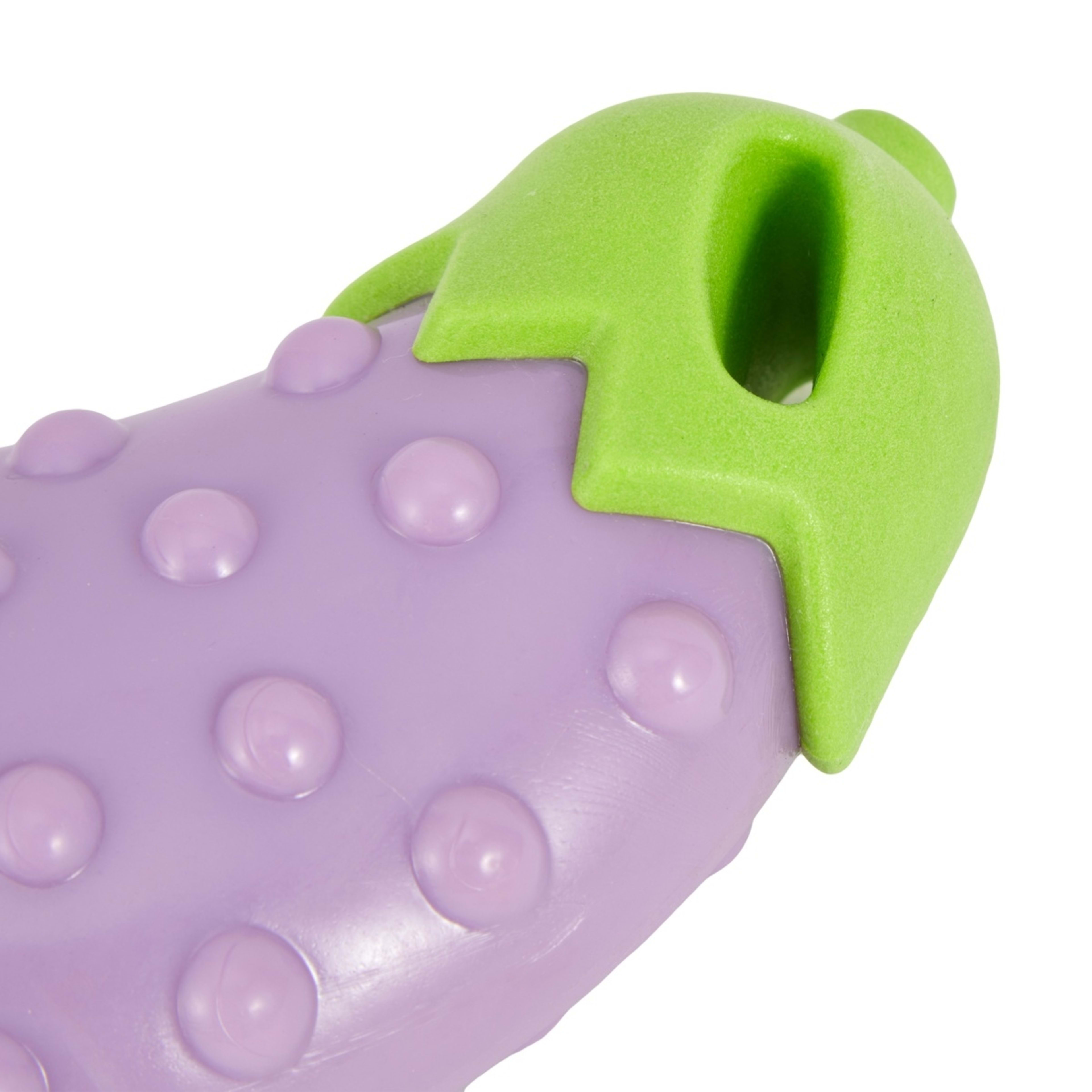 4 Pet Toy Shaker Chew - Assorted, 4 of 6