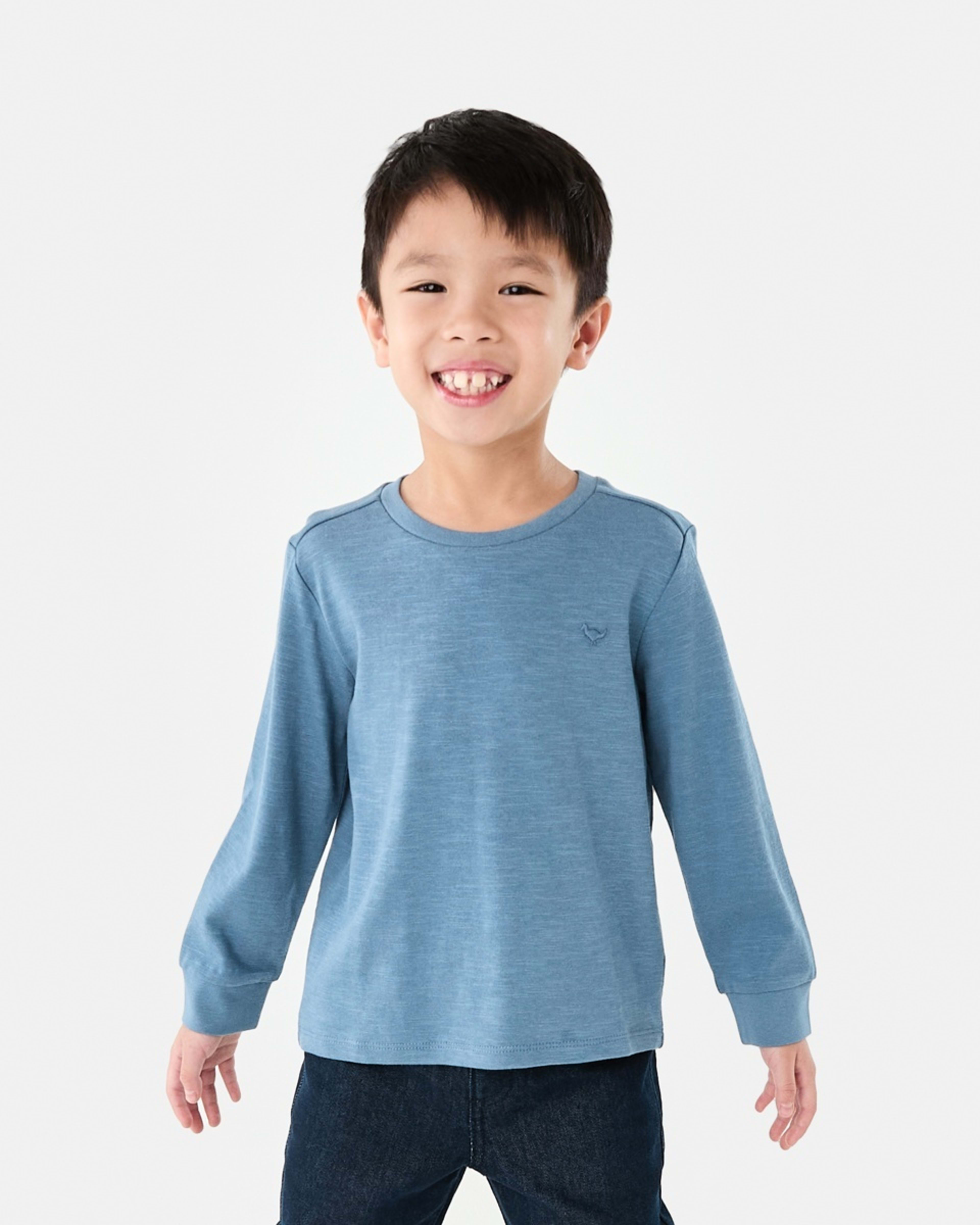 1 Long Sleeve Textured T-shirt Dino Embroidery Blue