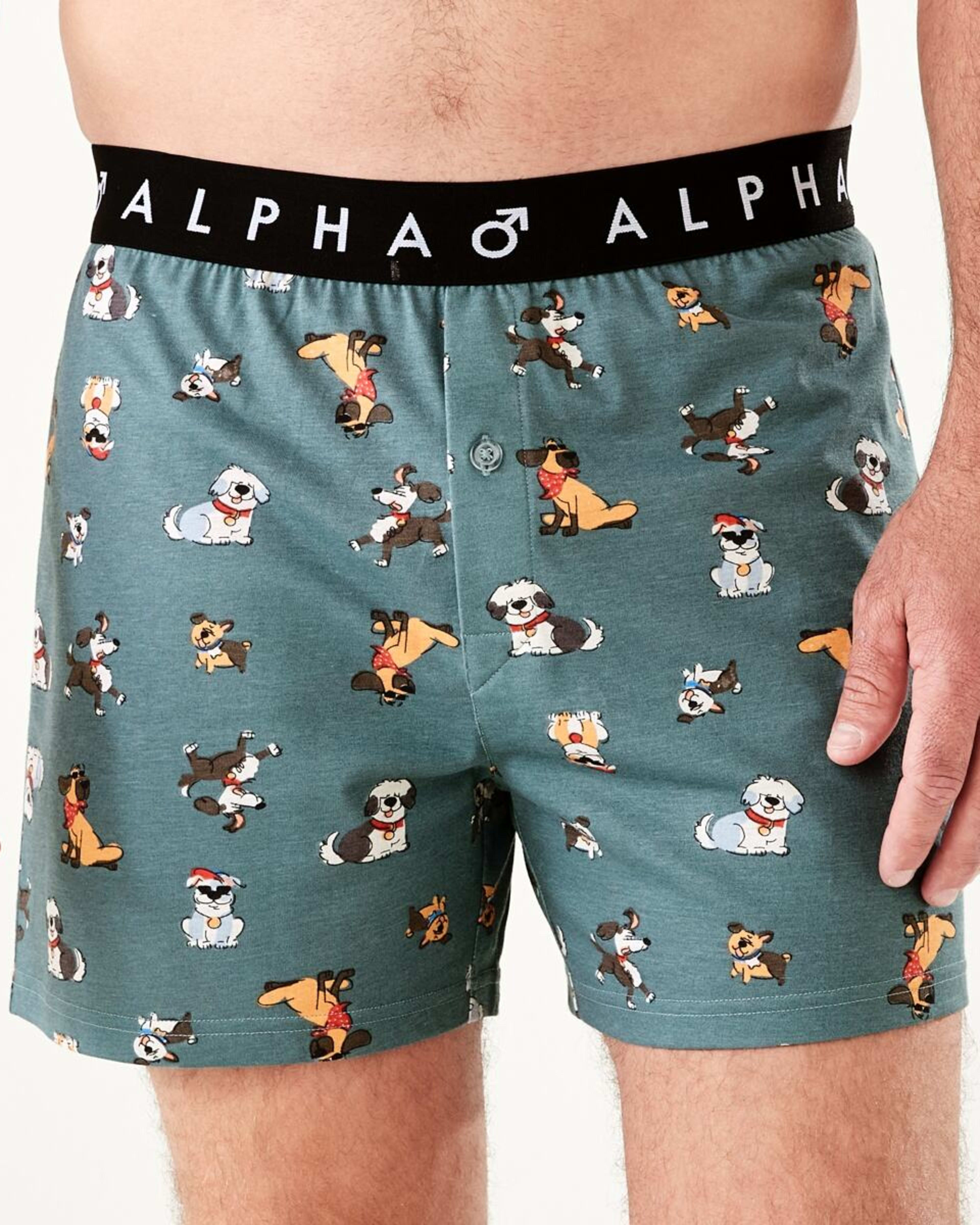 1 Printed Jersey Boxers DOGGOS