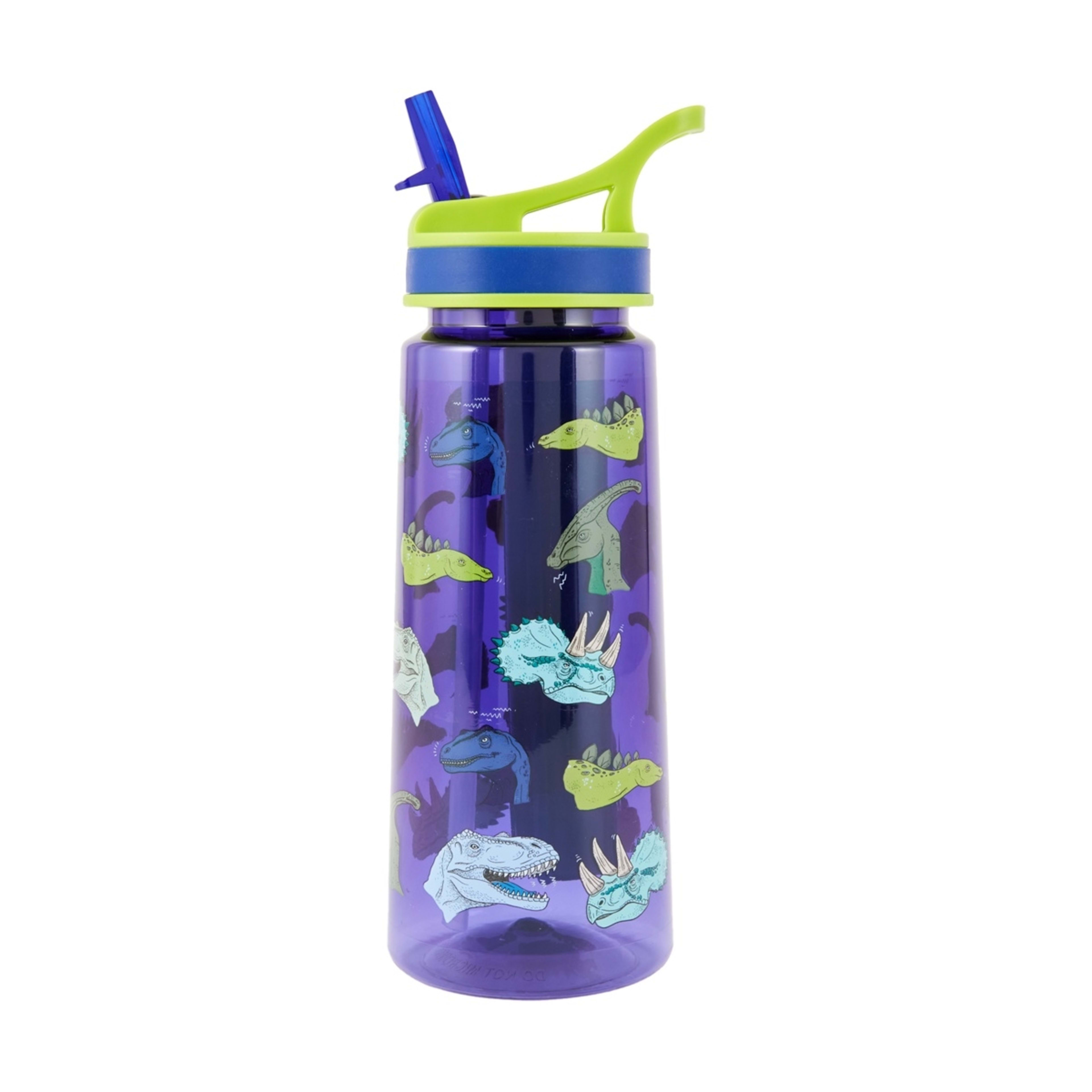1 650ml Dino Flared Drink Bottle