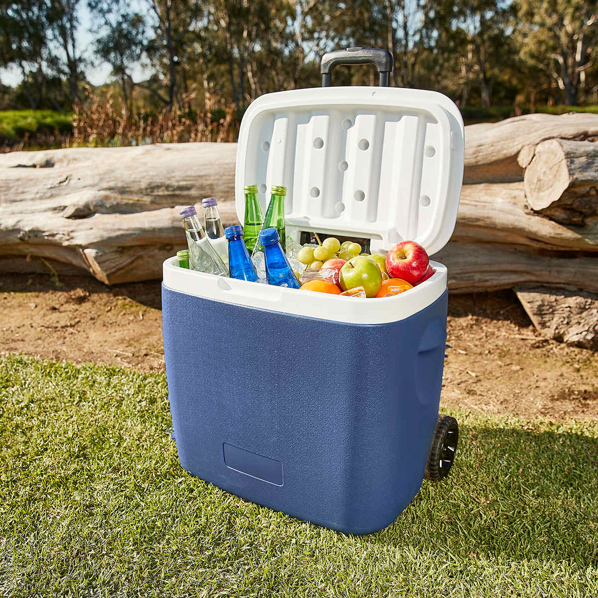 Kmart deals drink cooler