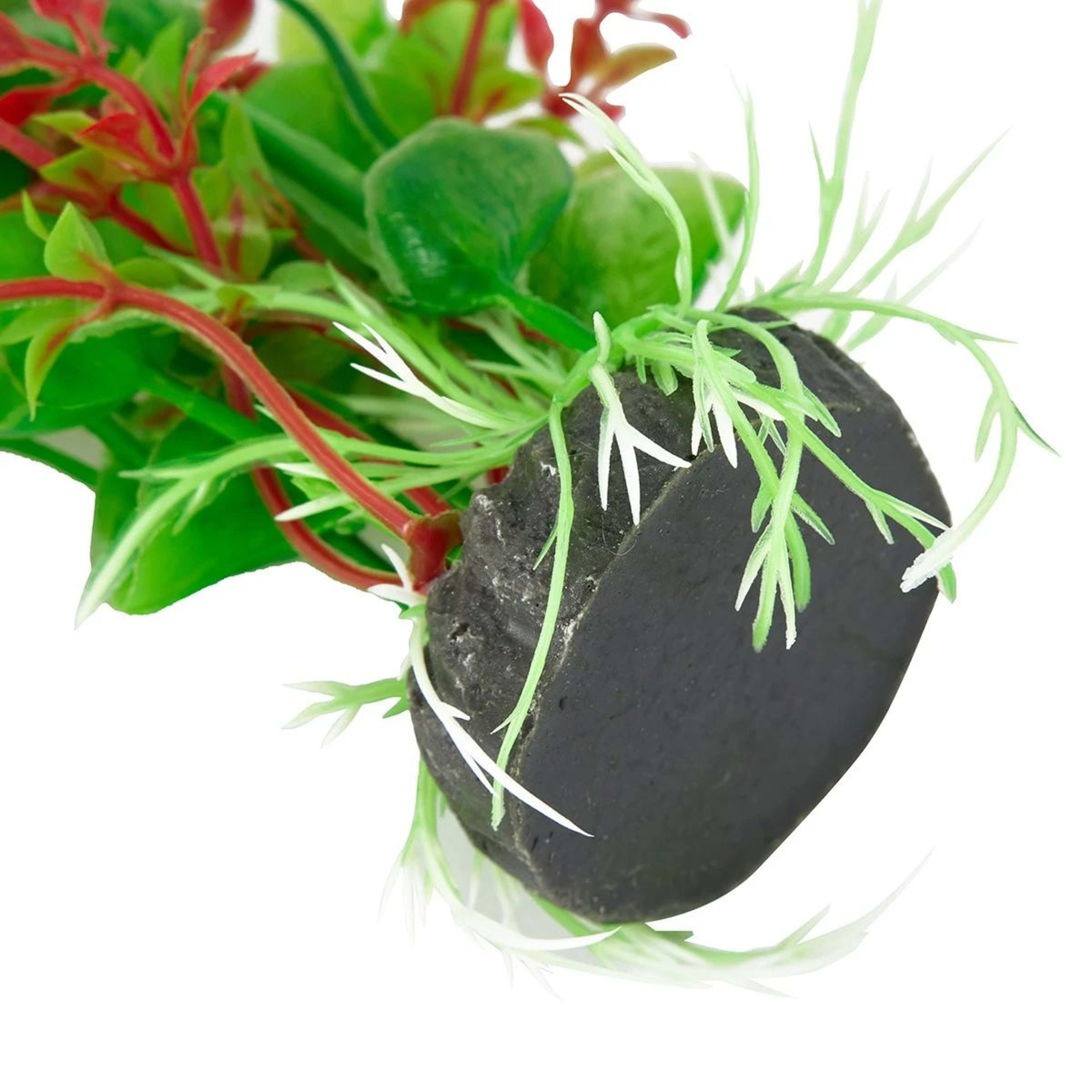 2 2 Pack Aquarium Plants Natural, 2 of 6