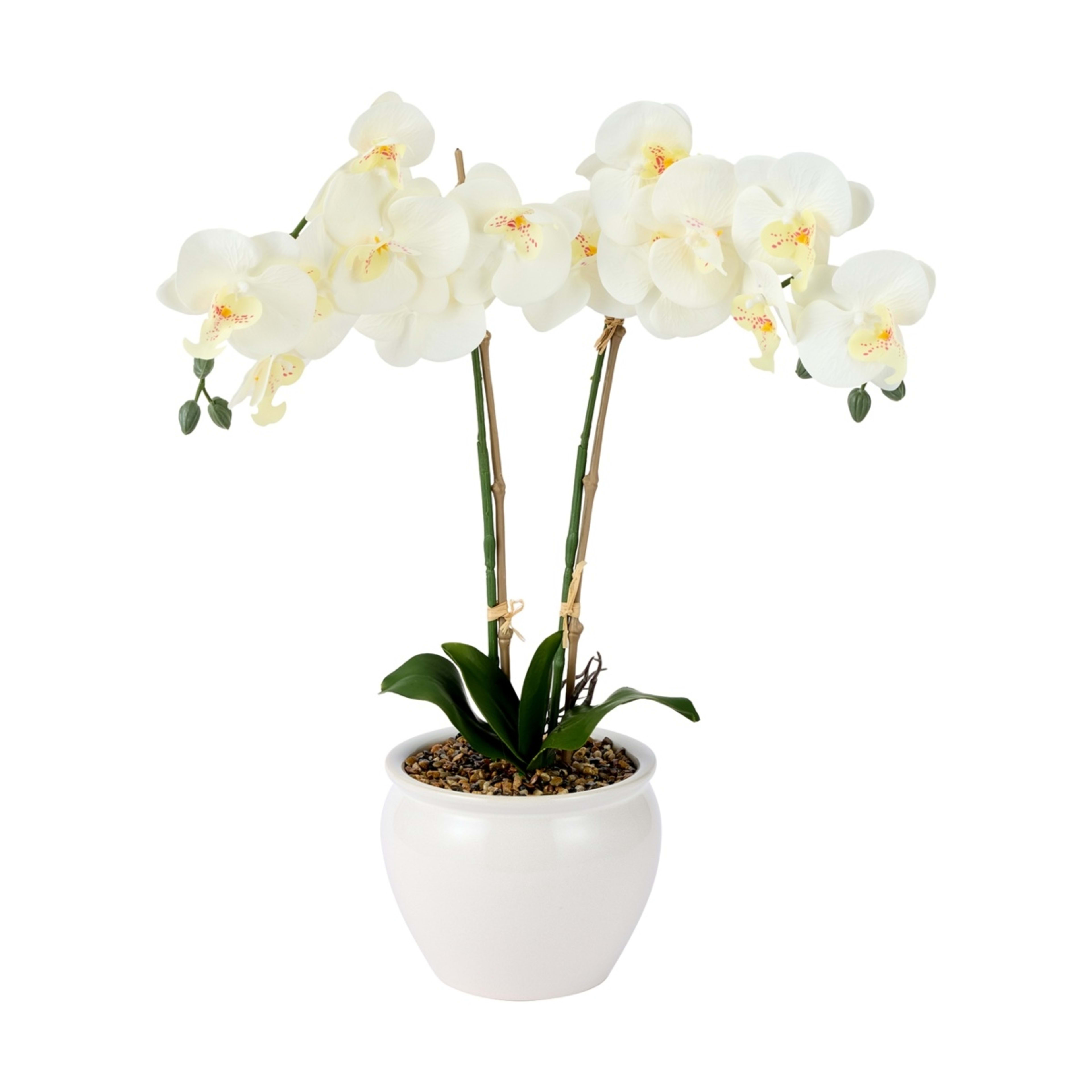 1 Artificial White Orchid in Vase
