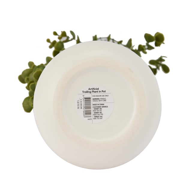 Artificial Trailing Plant in Pot Kmart NZ