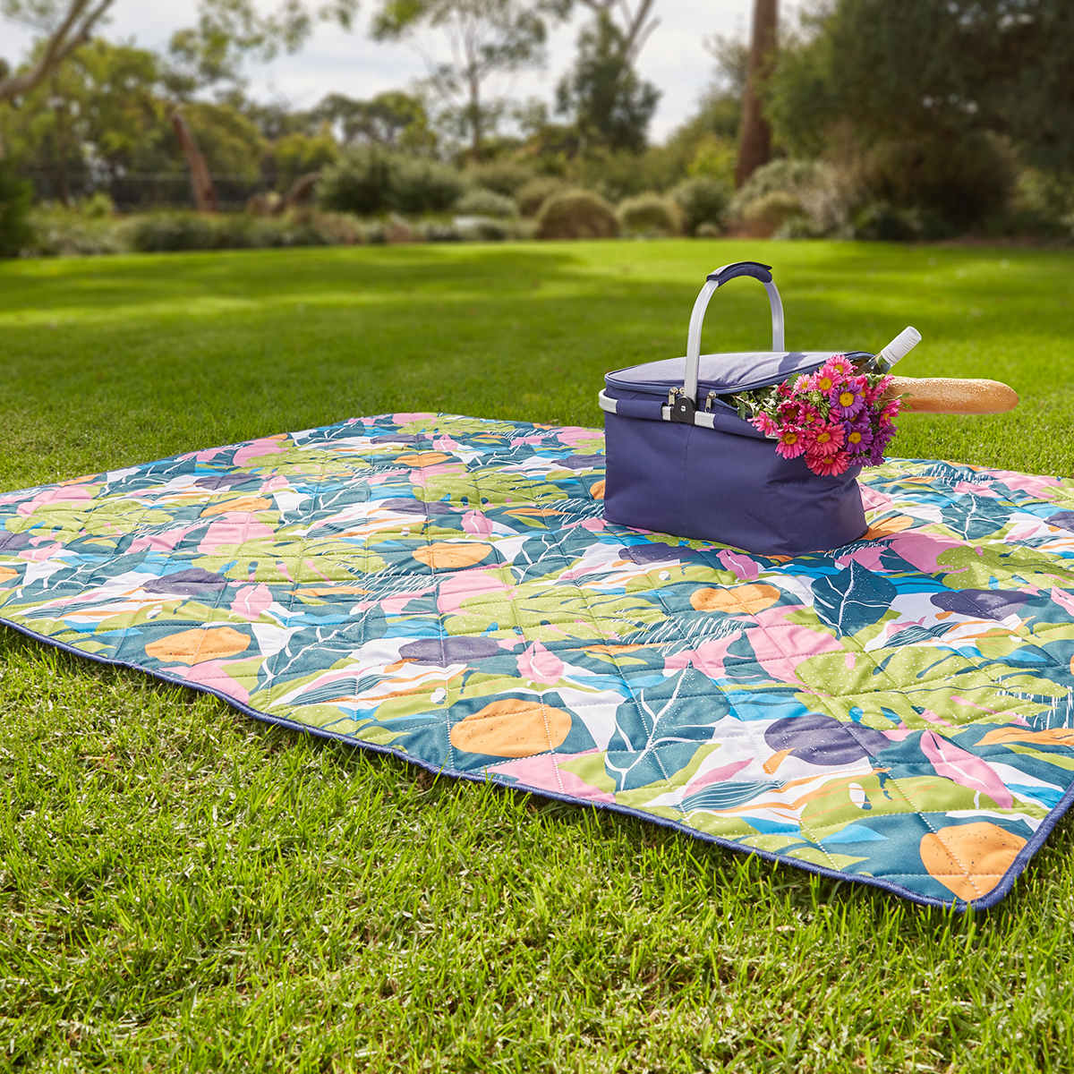 picnic mattress kmart