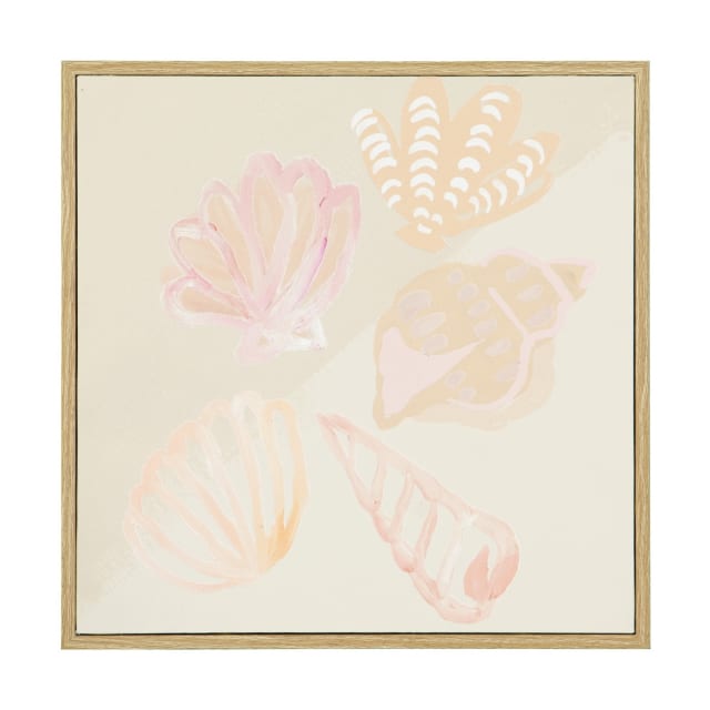 Sea Shells Framed Canvas Kmart