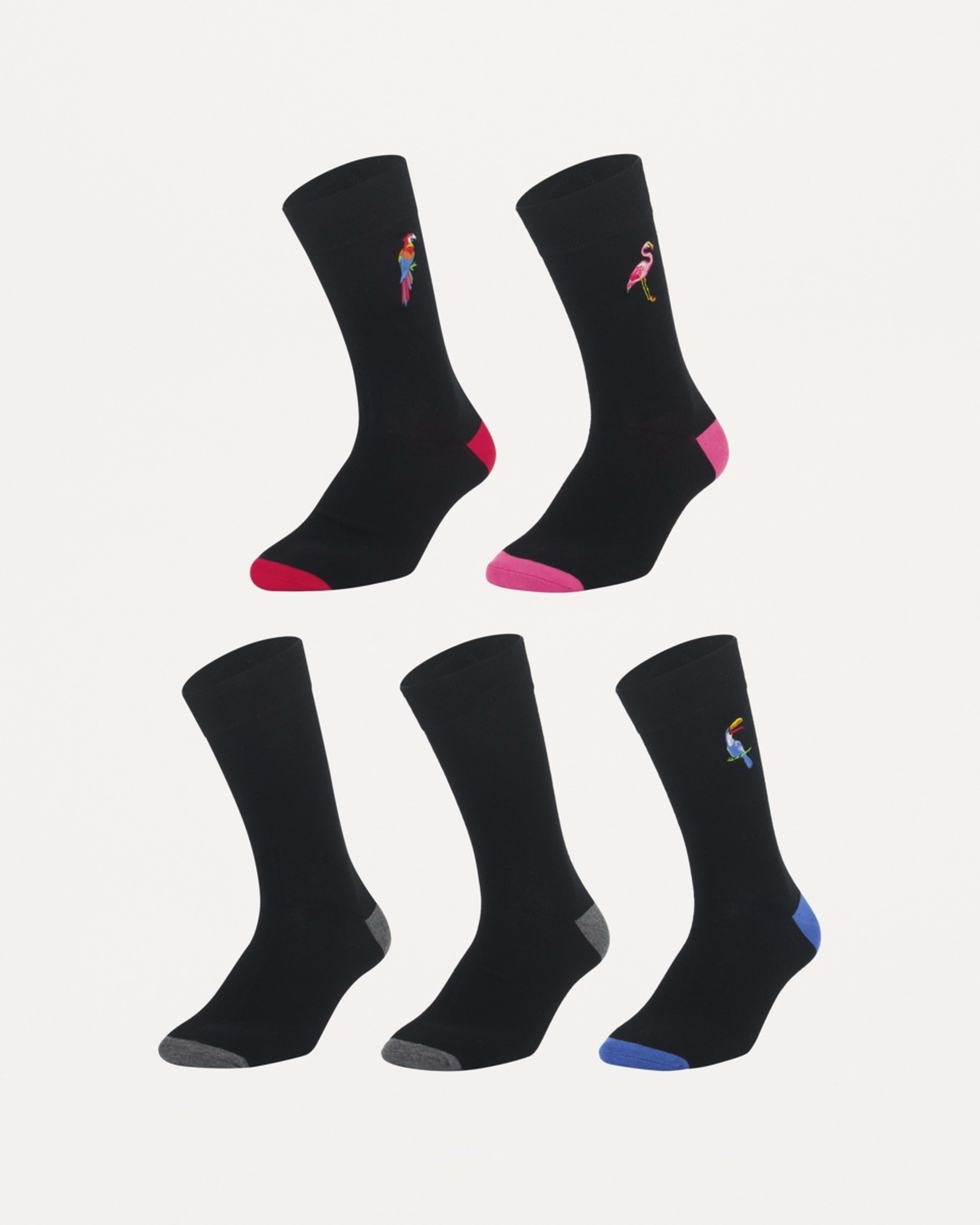1 5 Pack Embroidered & Plain Socks BIRDS TROPPO