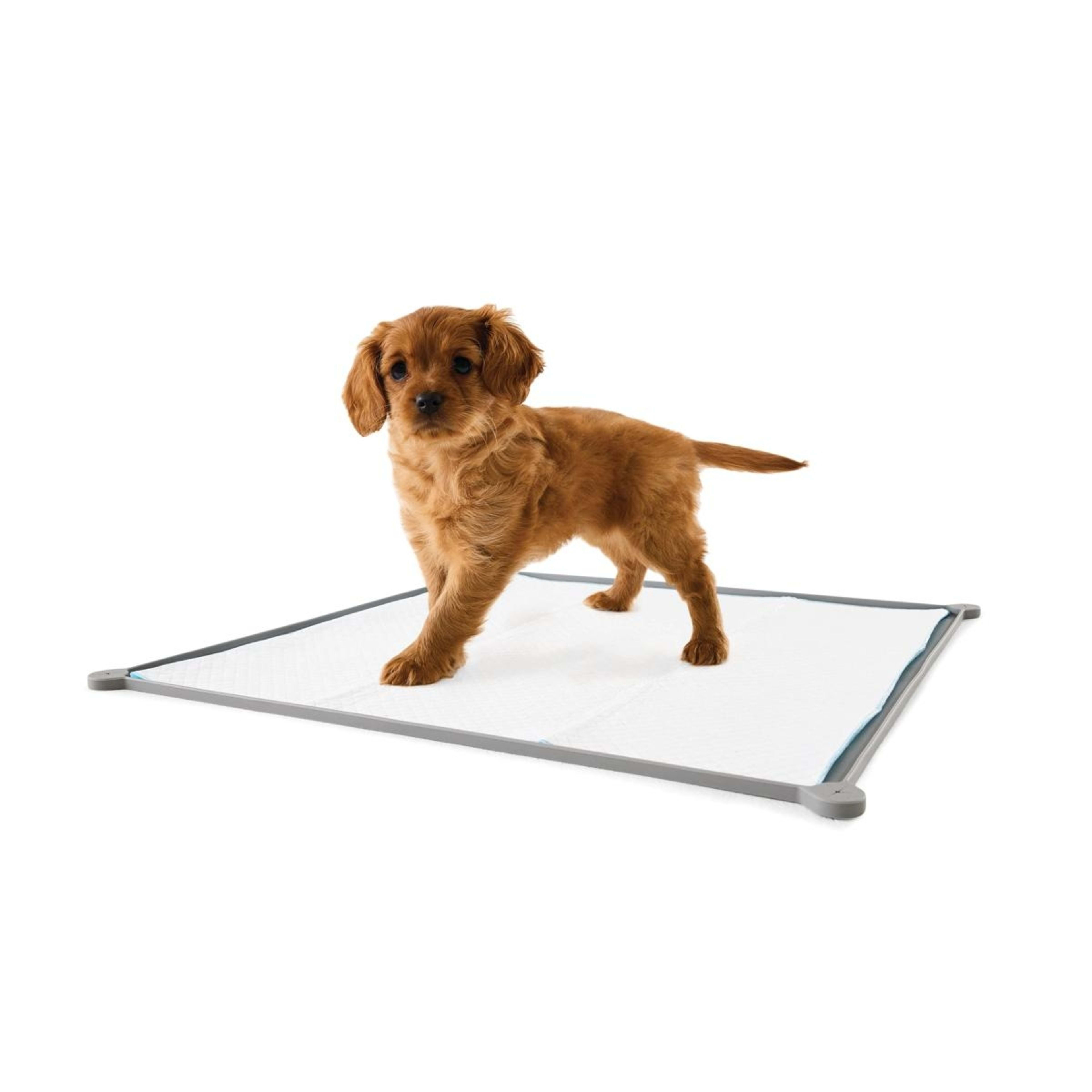 1 Puppy Training Pad Silicone, 1 of 8