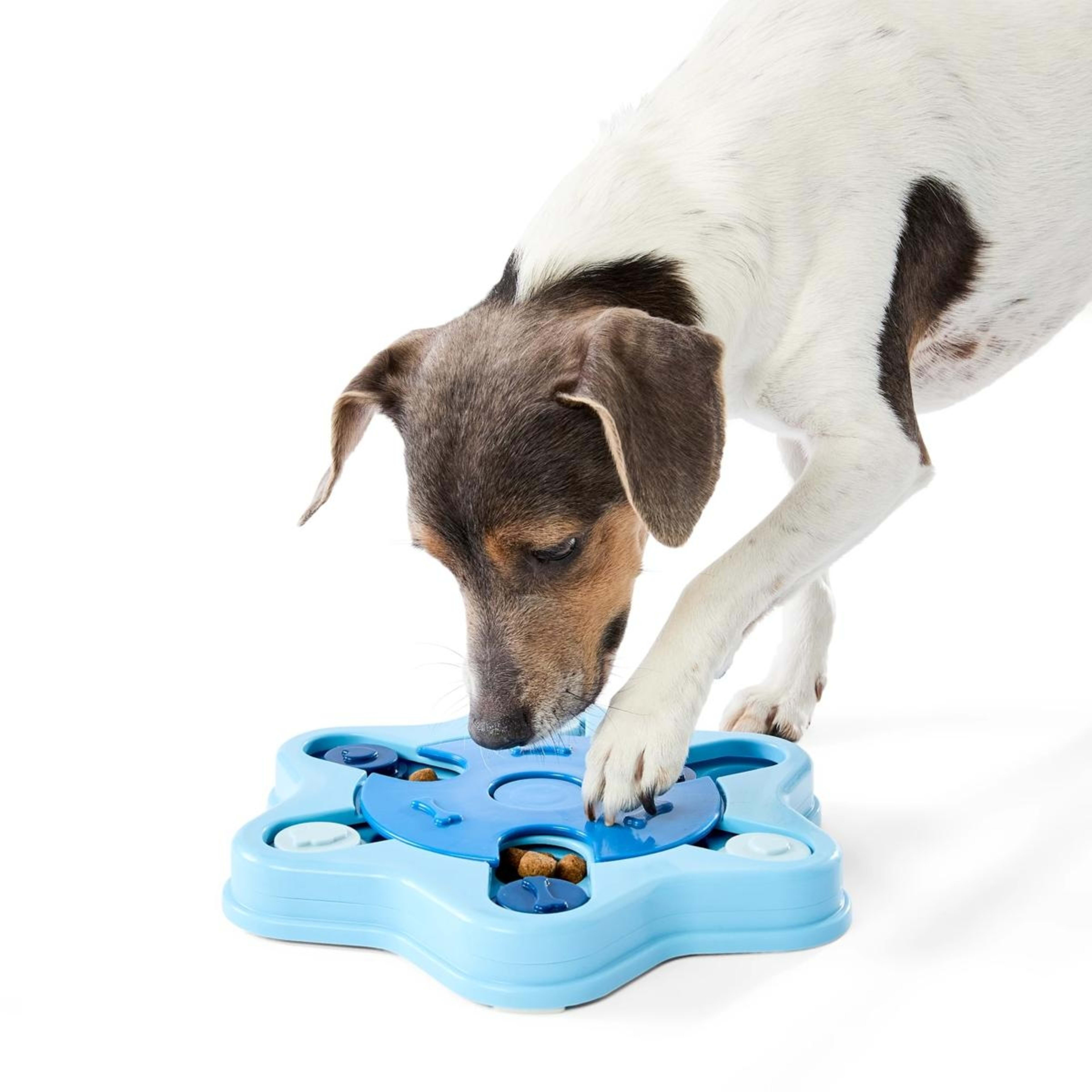 1 Pet IQ Toy Maze