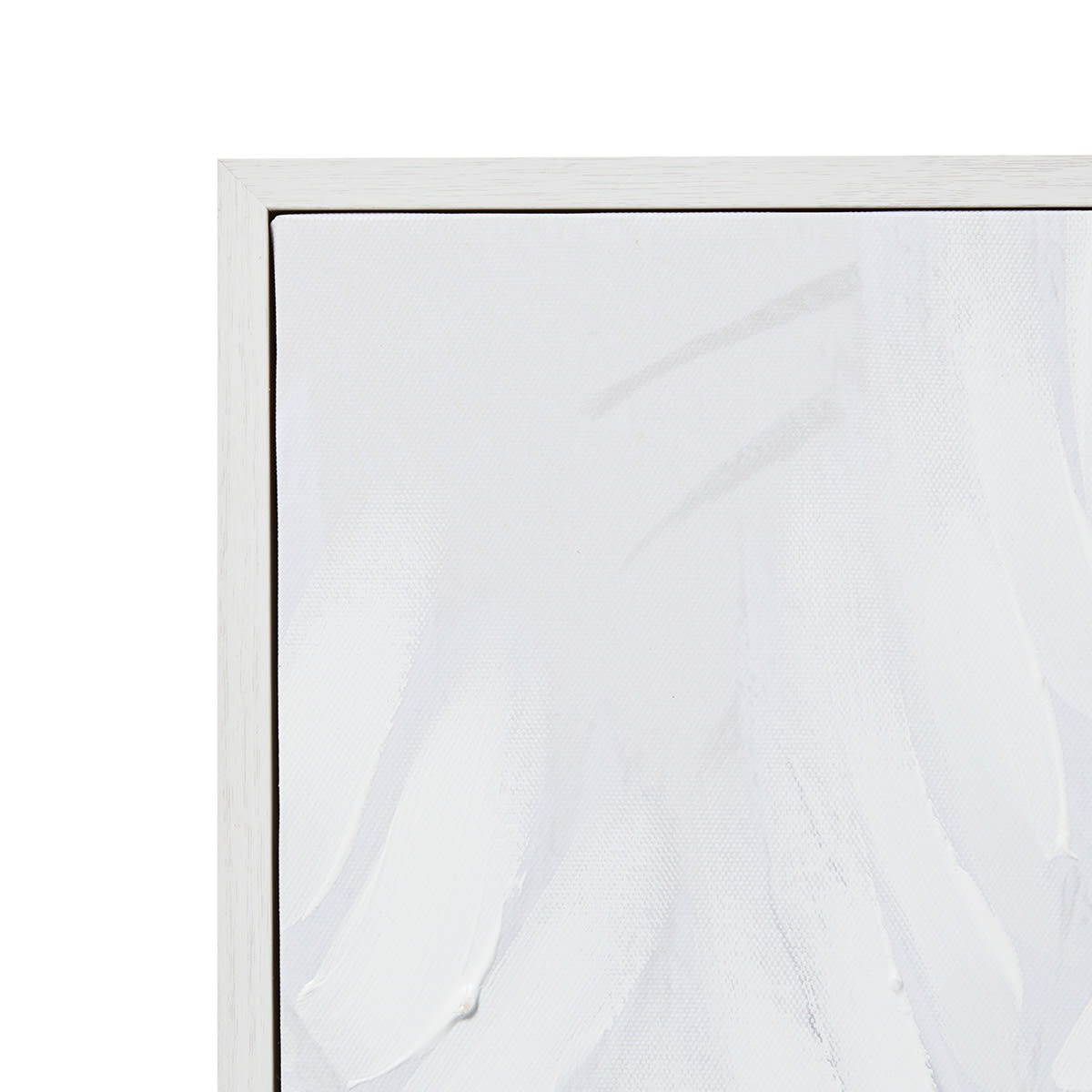 Textured Palm Framed Print Kmart