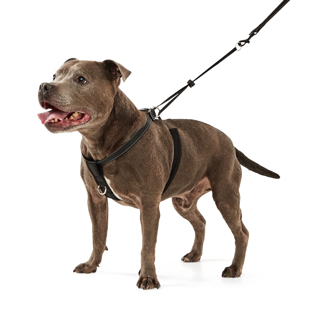 Dog No Pull Harness Medium Black Kmart