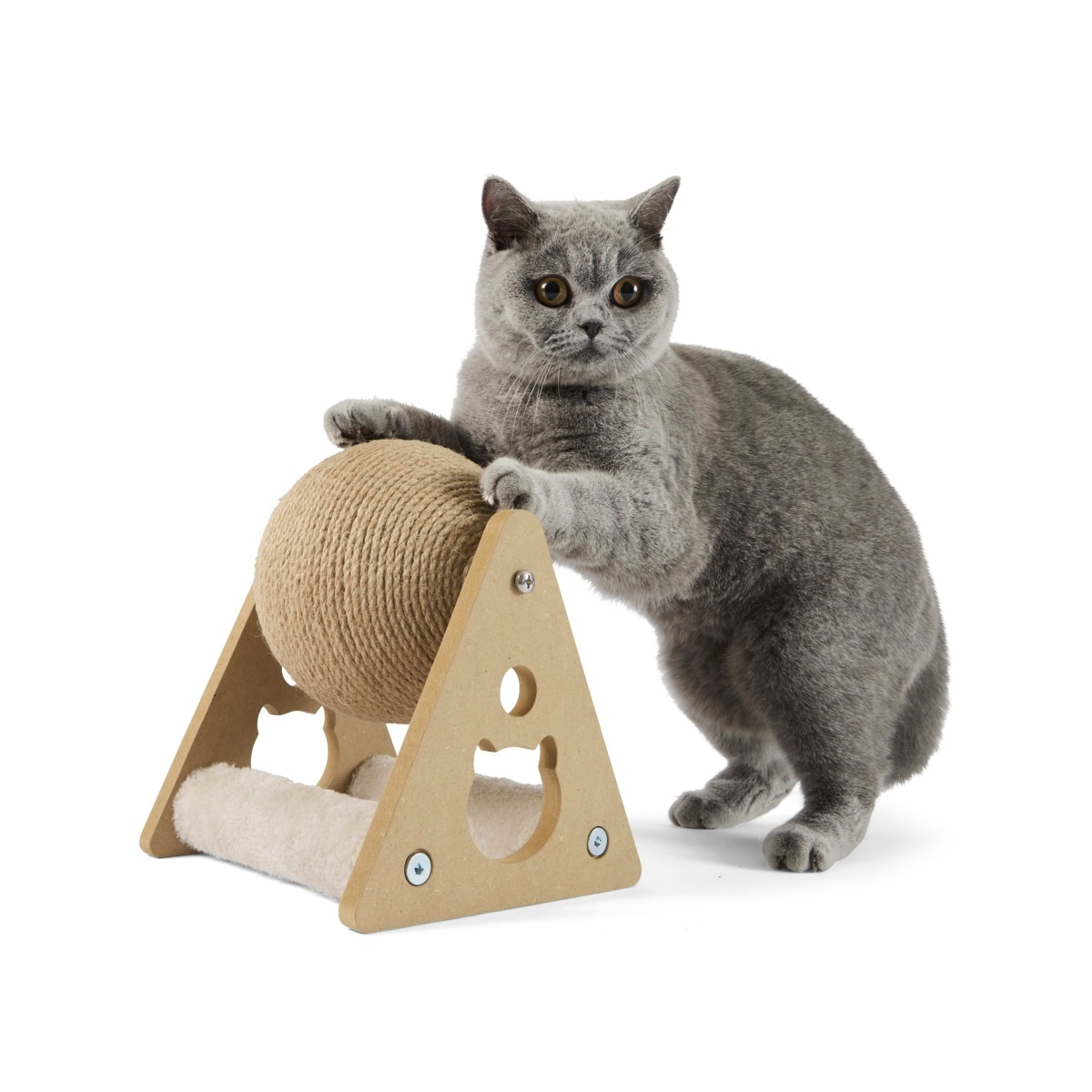 1 Cat Scratching Wheel