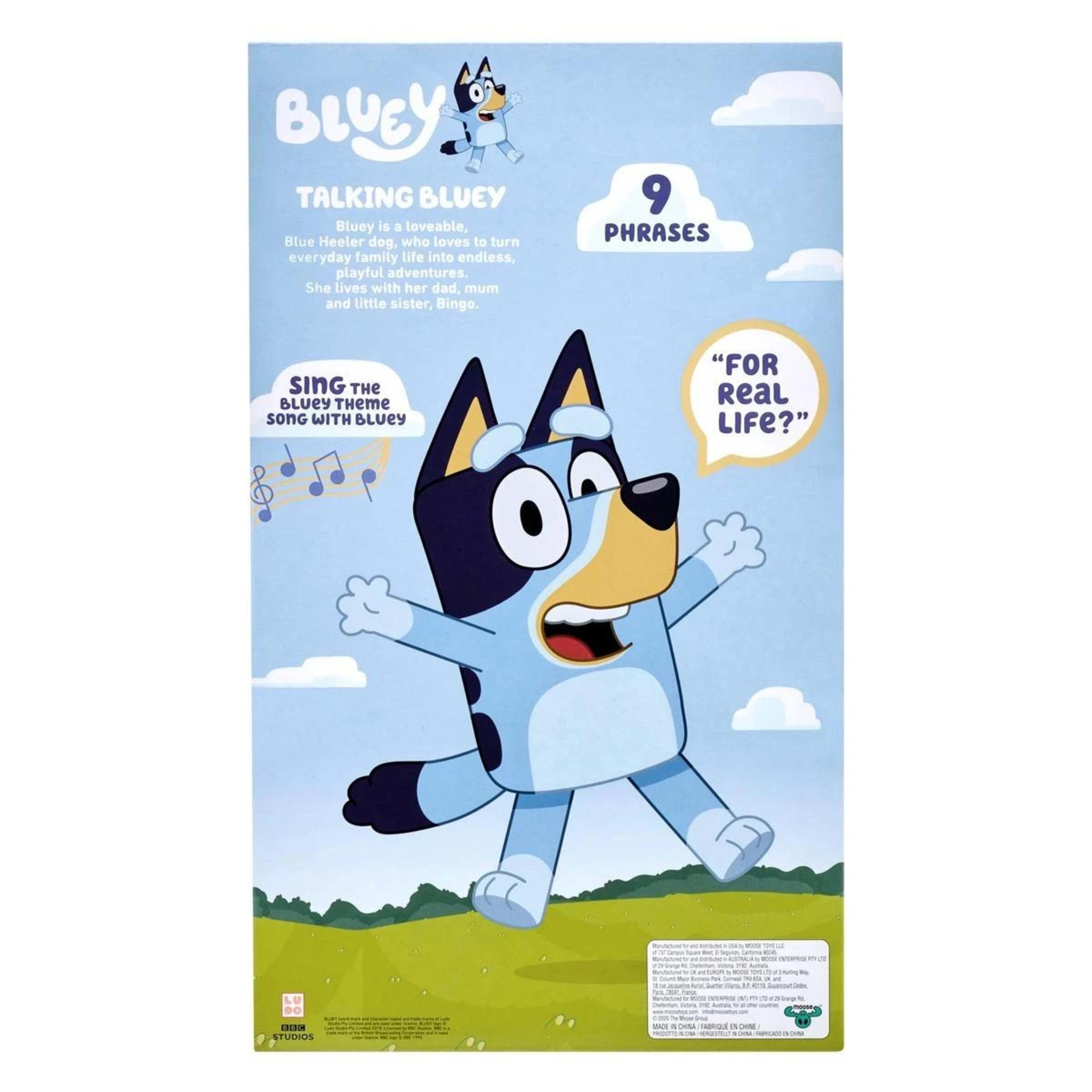 9 Bluey's Talking Bluey Plush Toy, 9 of 9