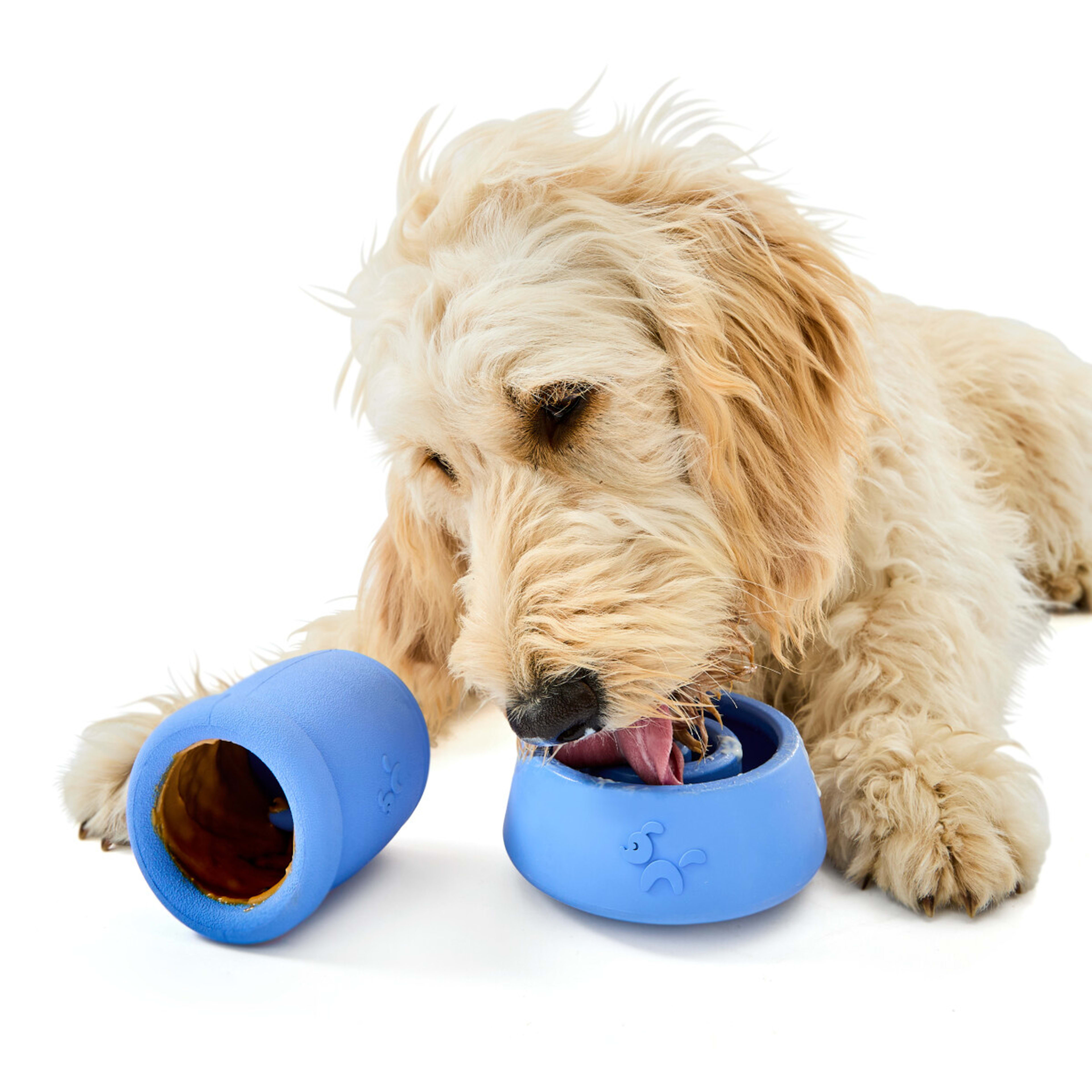 1 2 Pack Pet Rubber Treat Chew - Blue