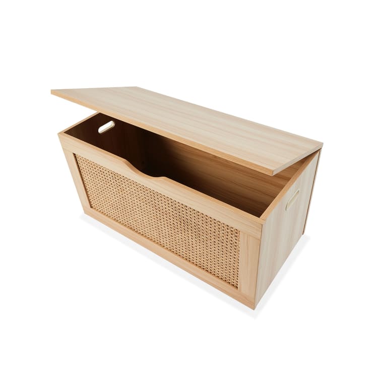 Rattan Storage Trunk Kmart