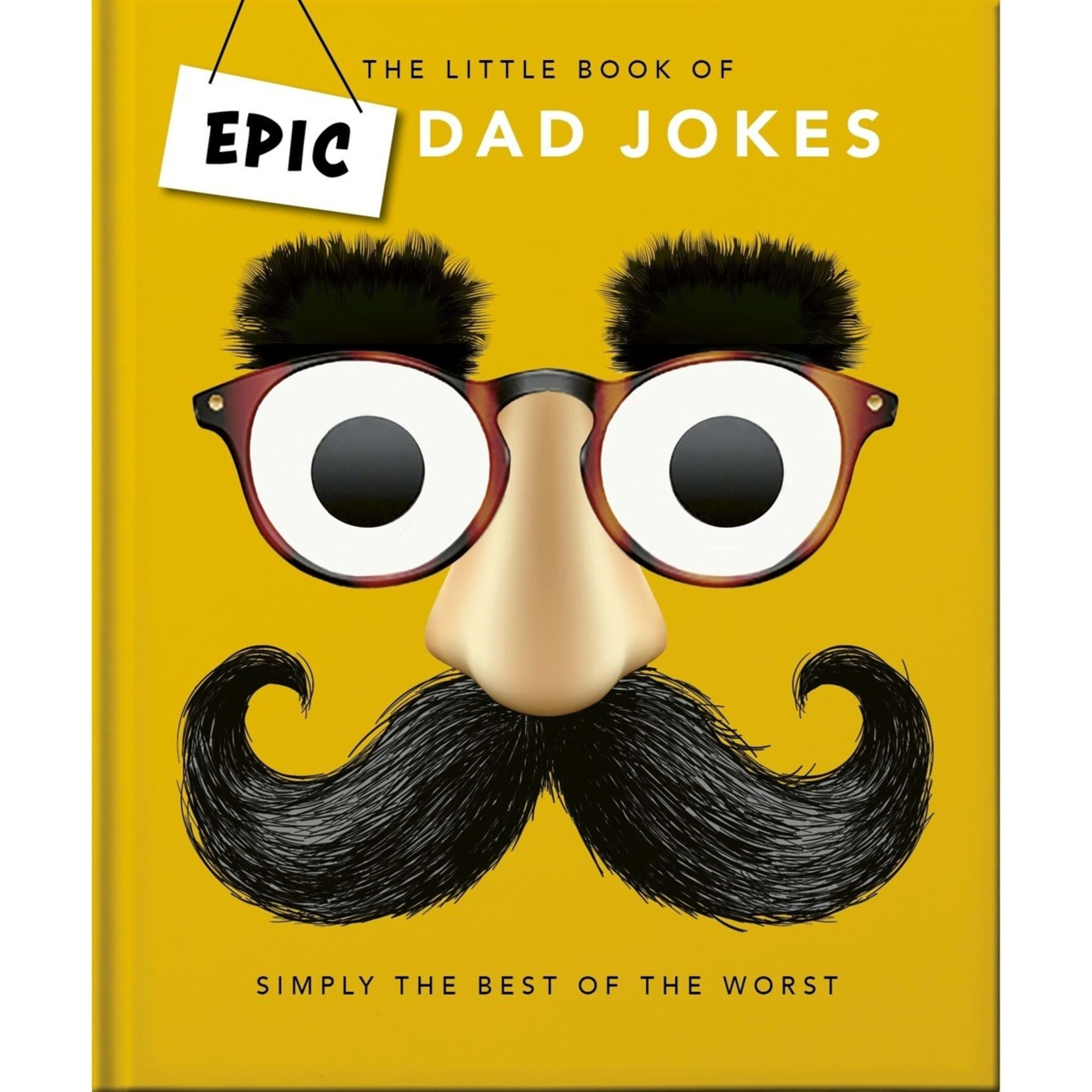1 The Little Book of Epic Dad Jokes - Book, 1 of 3