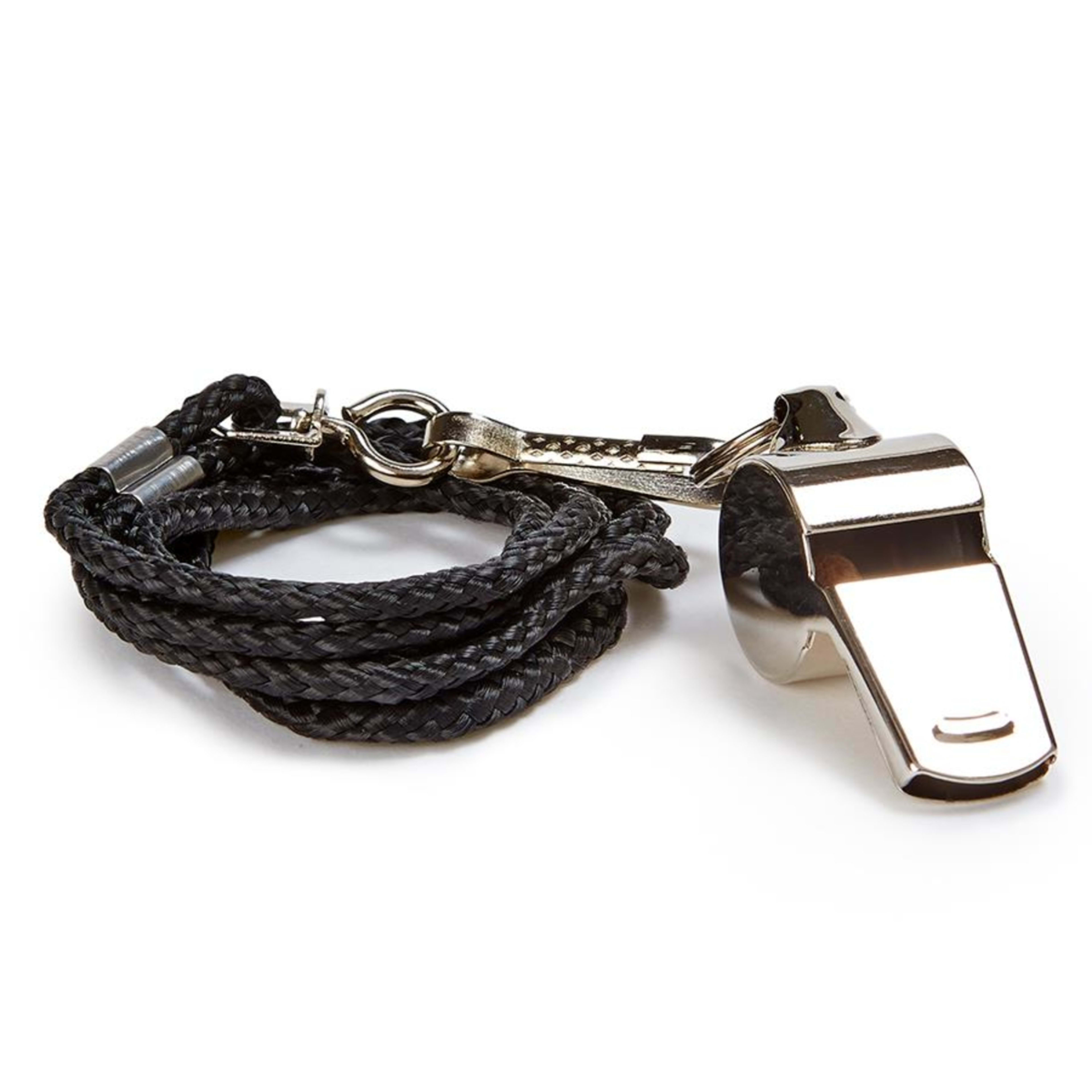 1 Brass Whistle with Lanyard