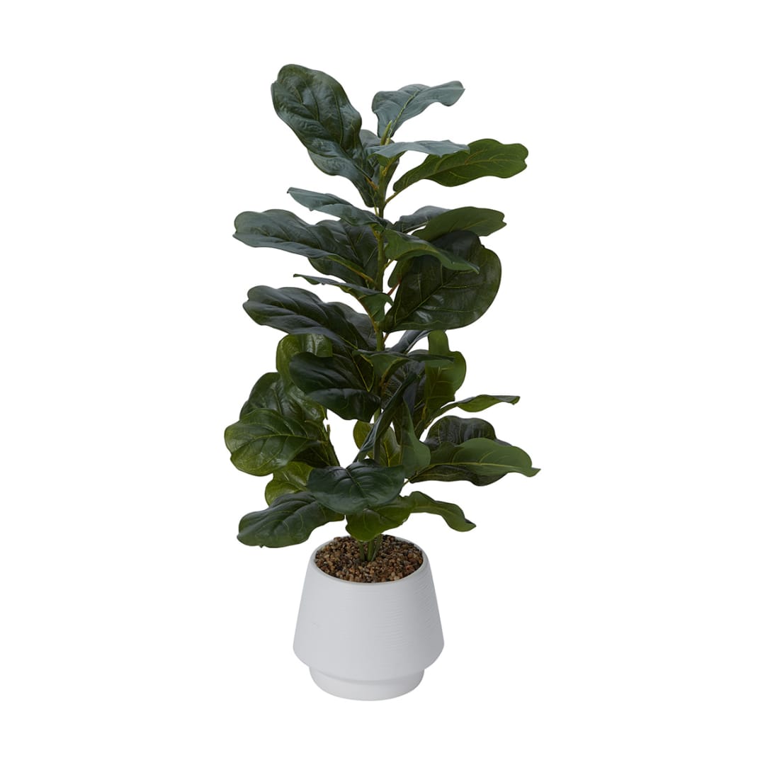 Artificial Fiddle Leaf in Pot Kmart