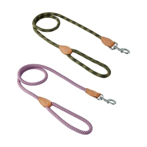 Best Dog Ever Collar and Lead Set - Large, Green