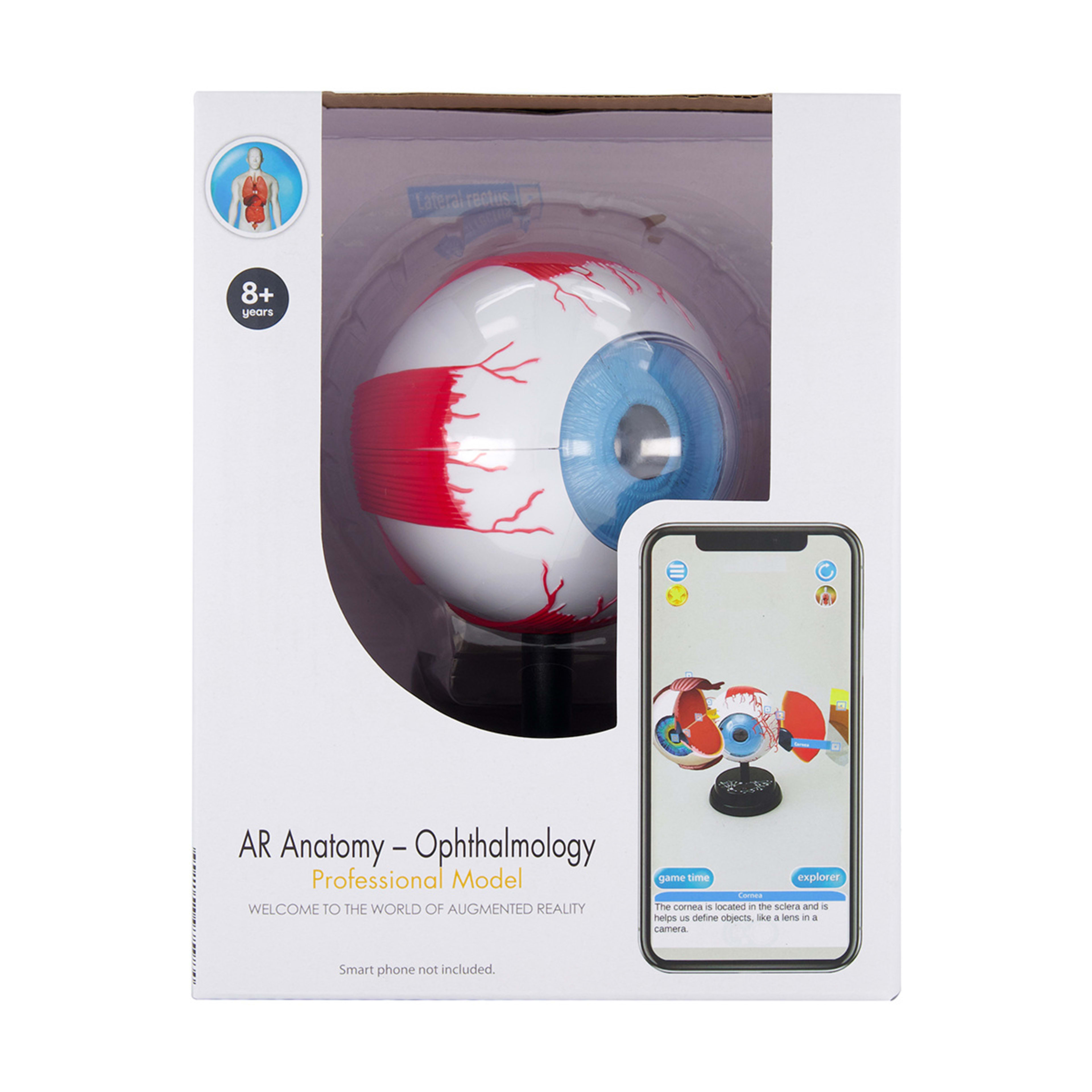 AR Anatomy Professional Model Ophthalmology Kmart