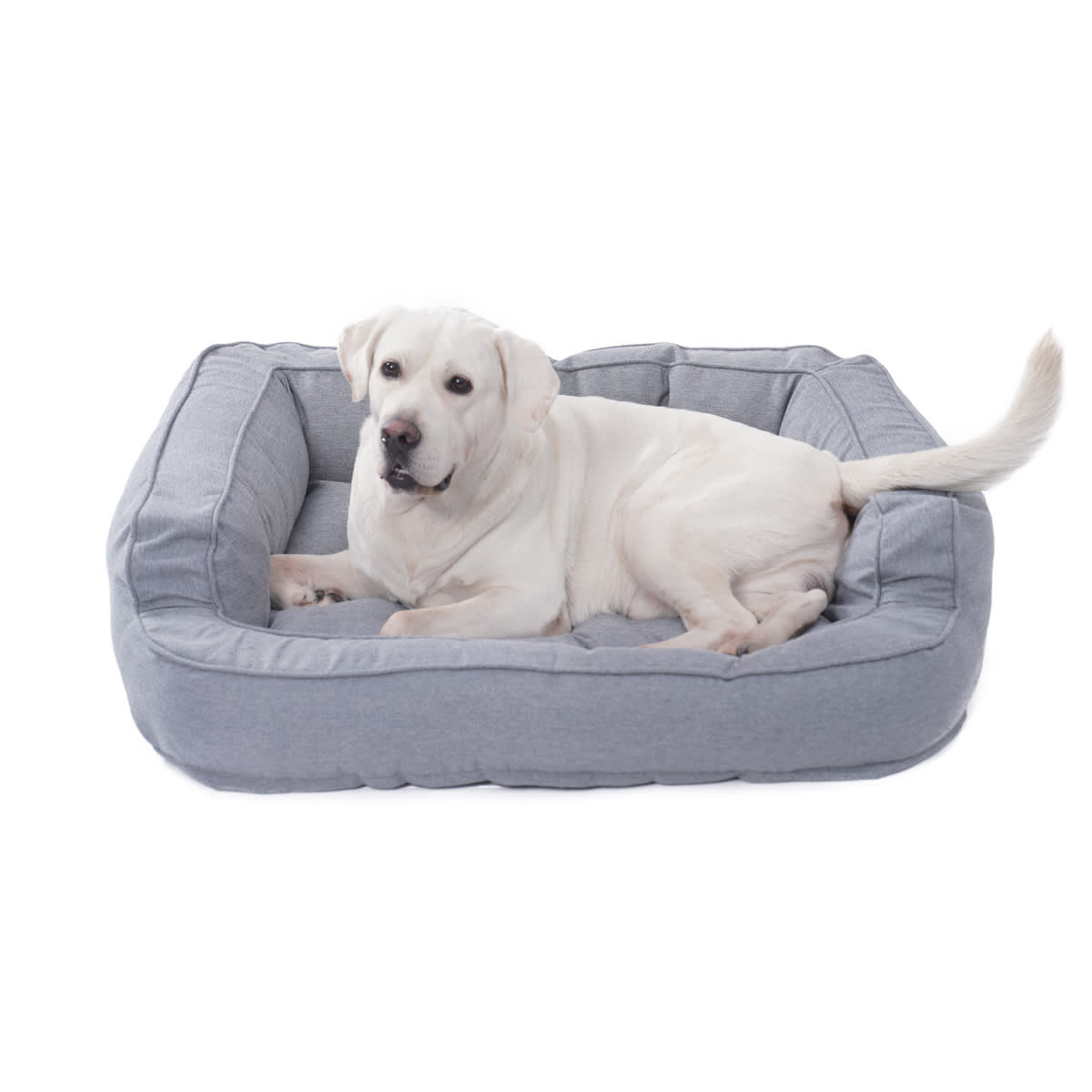 Kmart extra on sale large dog bed