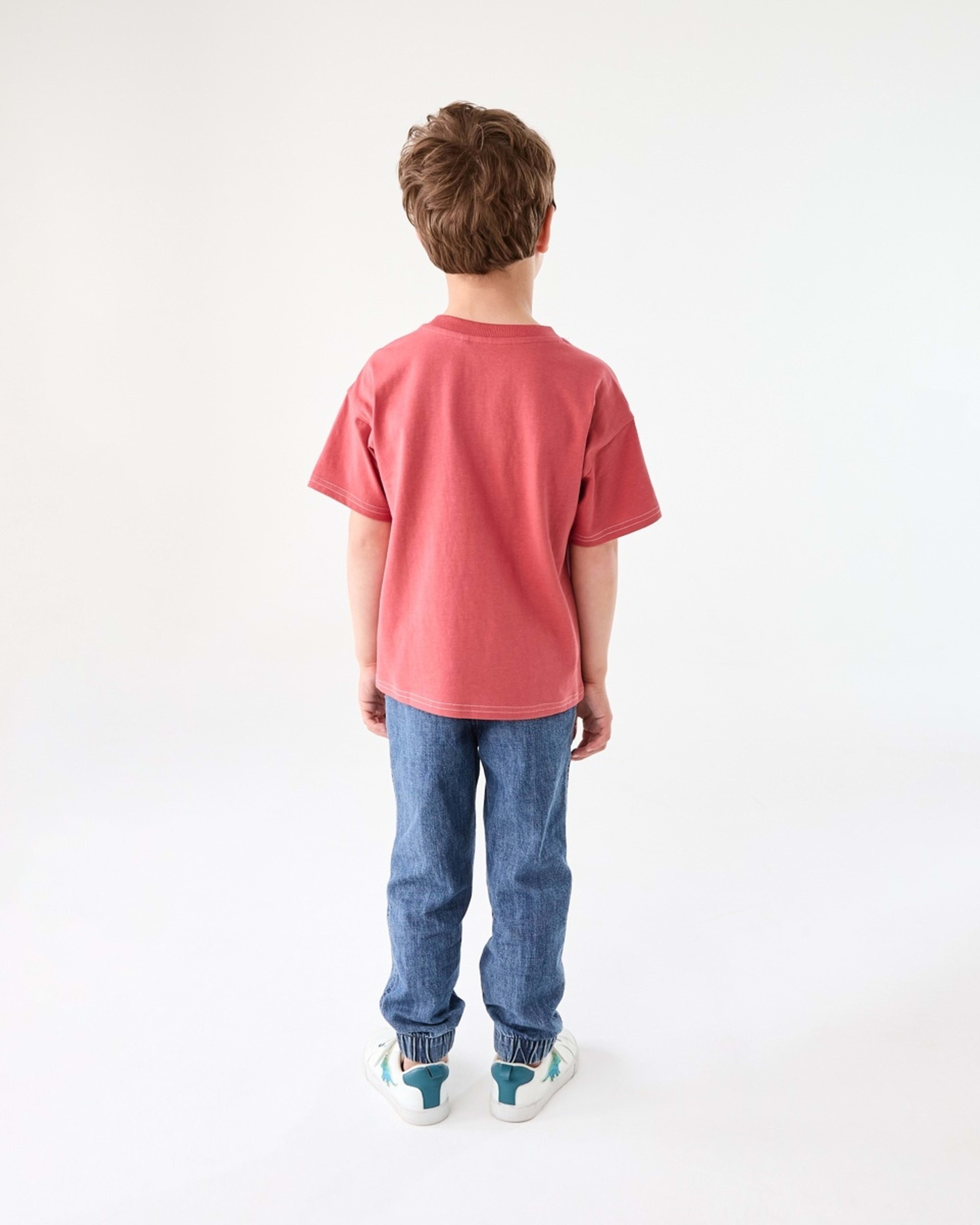 6 Short Sleeve Oversized Print T-shirt VARSITY TOP STITCH WASHED RED, 6 of 6