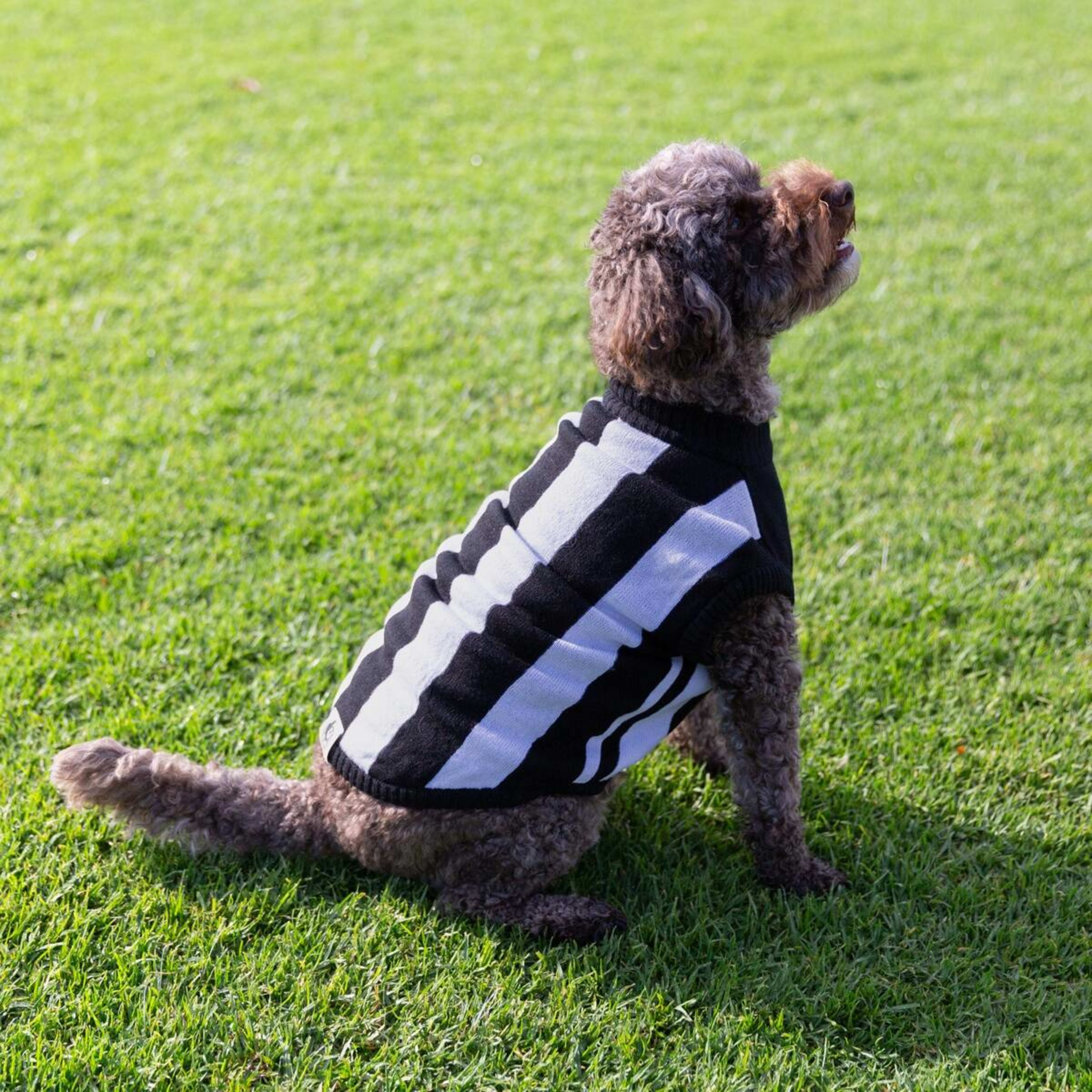 3 AFL Collingwood Magpies Pet Jumper - Large, 3 of 4