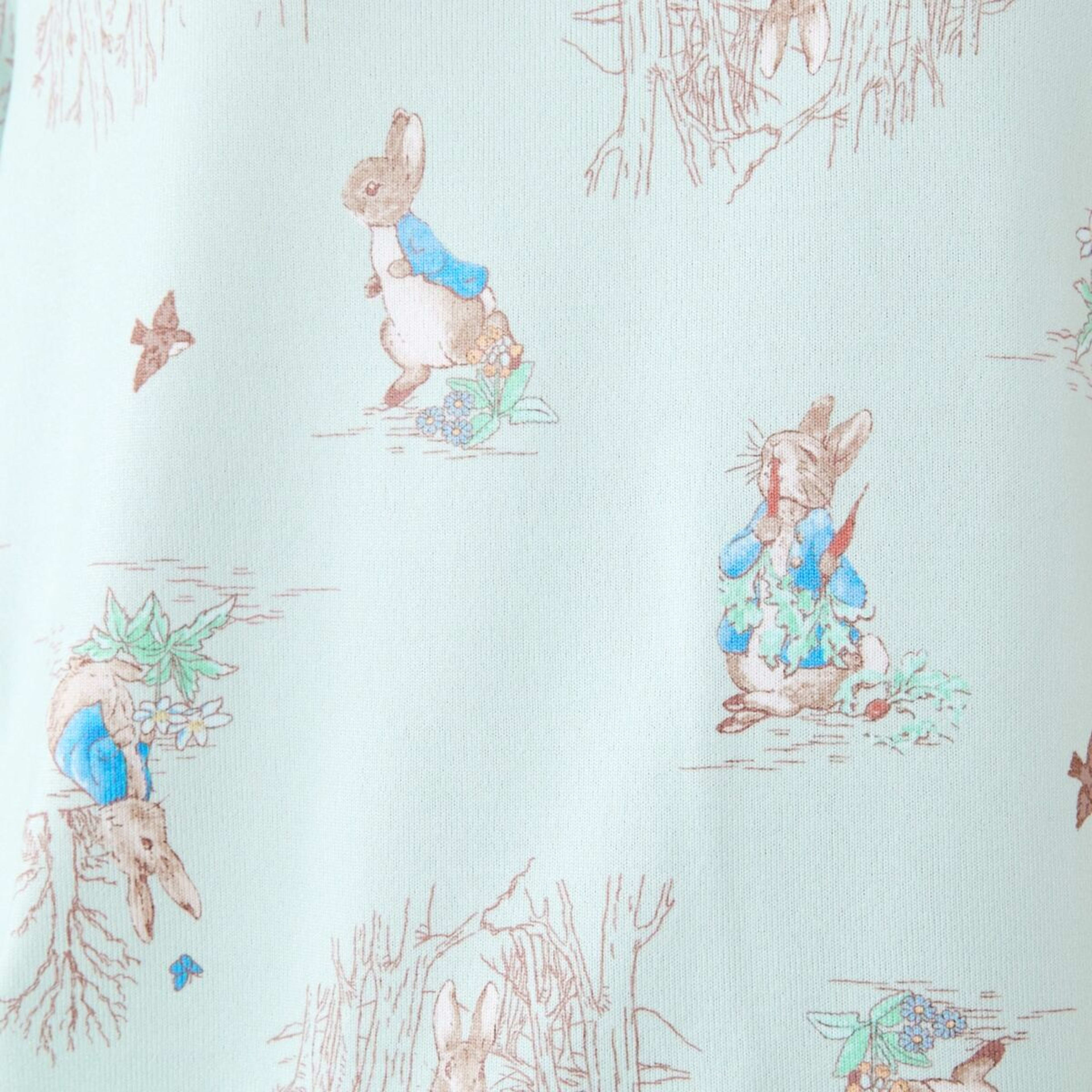 6 Family Matching Peter Rabbit License Pyjama Set Ptr Rabbit, 6 of 7