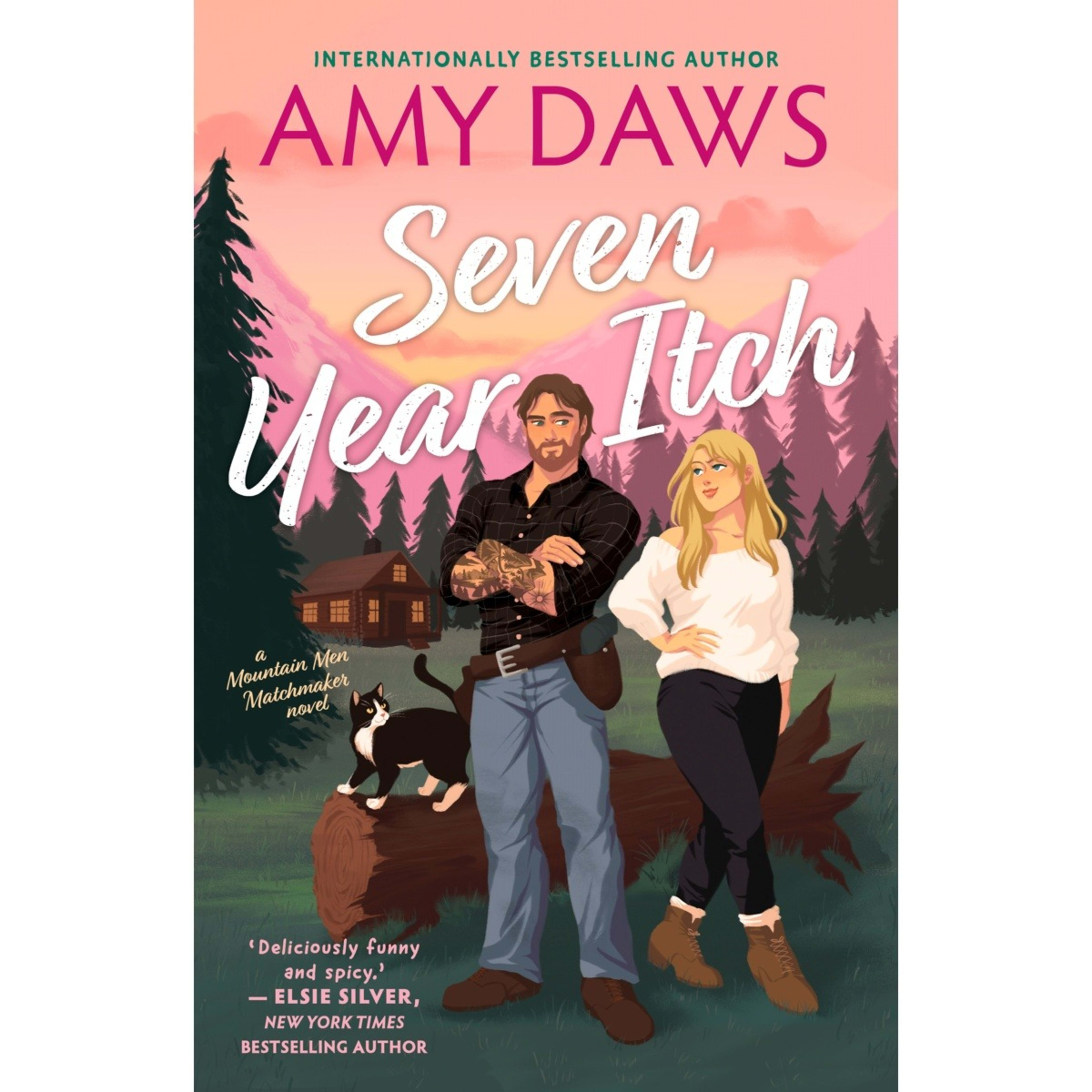 1 Seven Year Itch by Amy Daws - Book