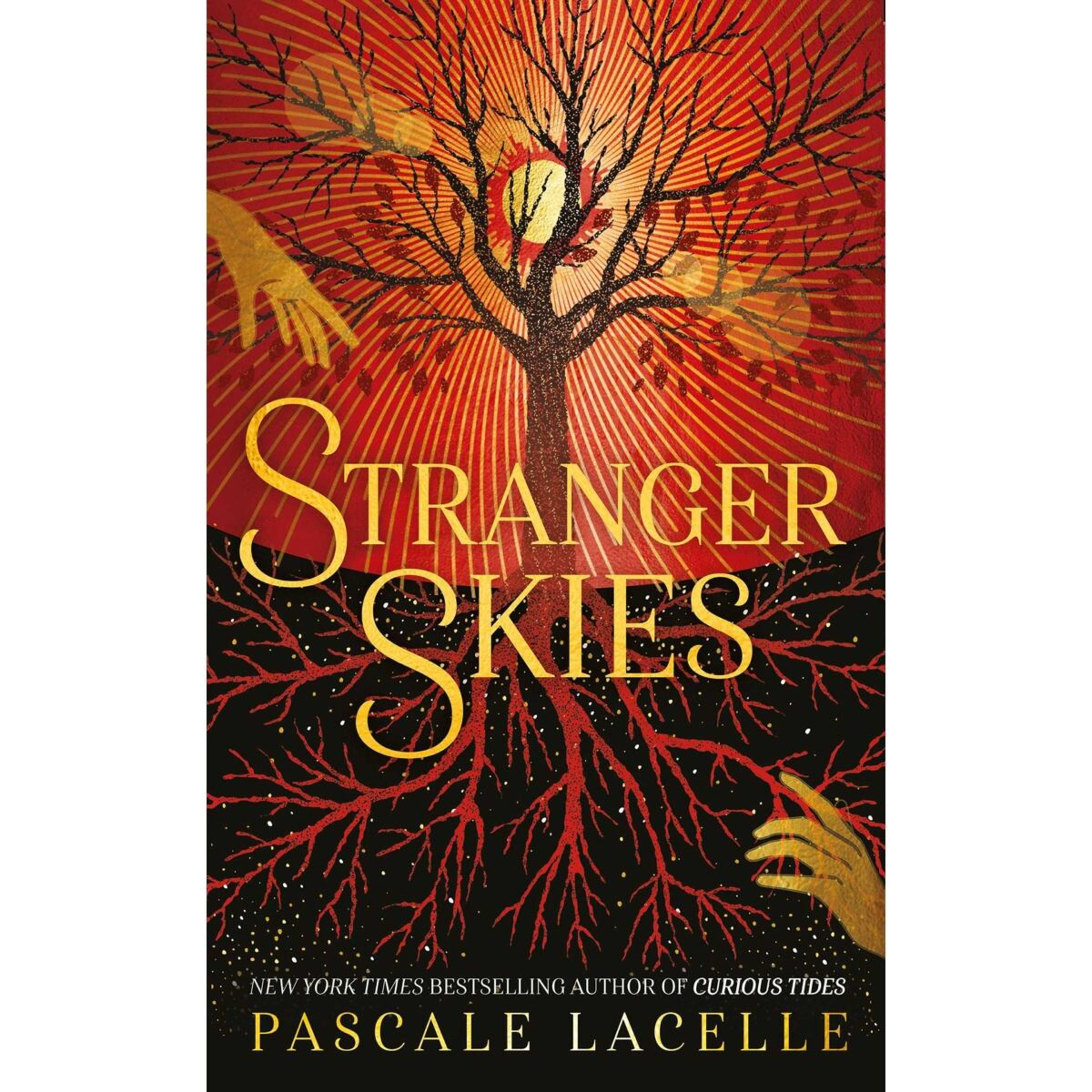 1 Stranger Skies by Pascale Lacelle - Book