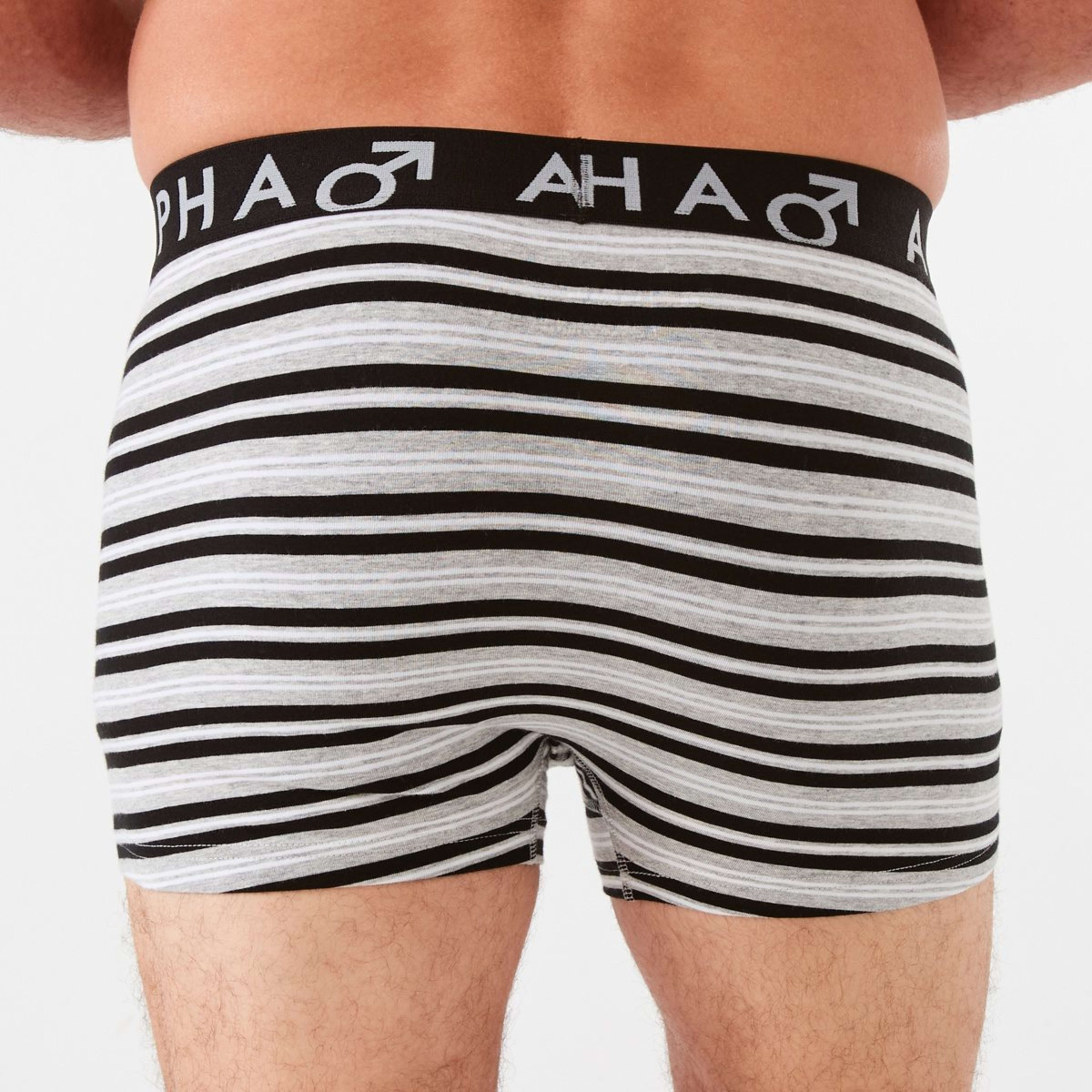 6 3 Pack Fly Front Stripe Trunks Speedster Stripe, 6 of 8